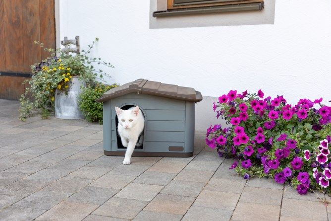 Kerbl Pet Katzenhaus Paola Eco XL, mediterrane Optik, im Einsatz