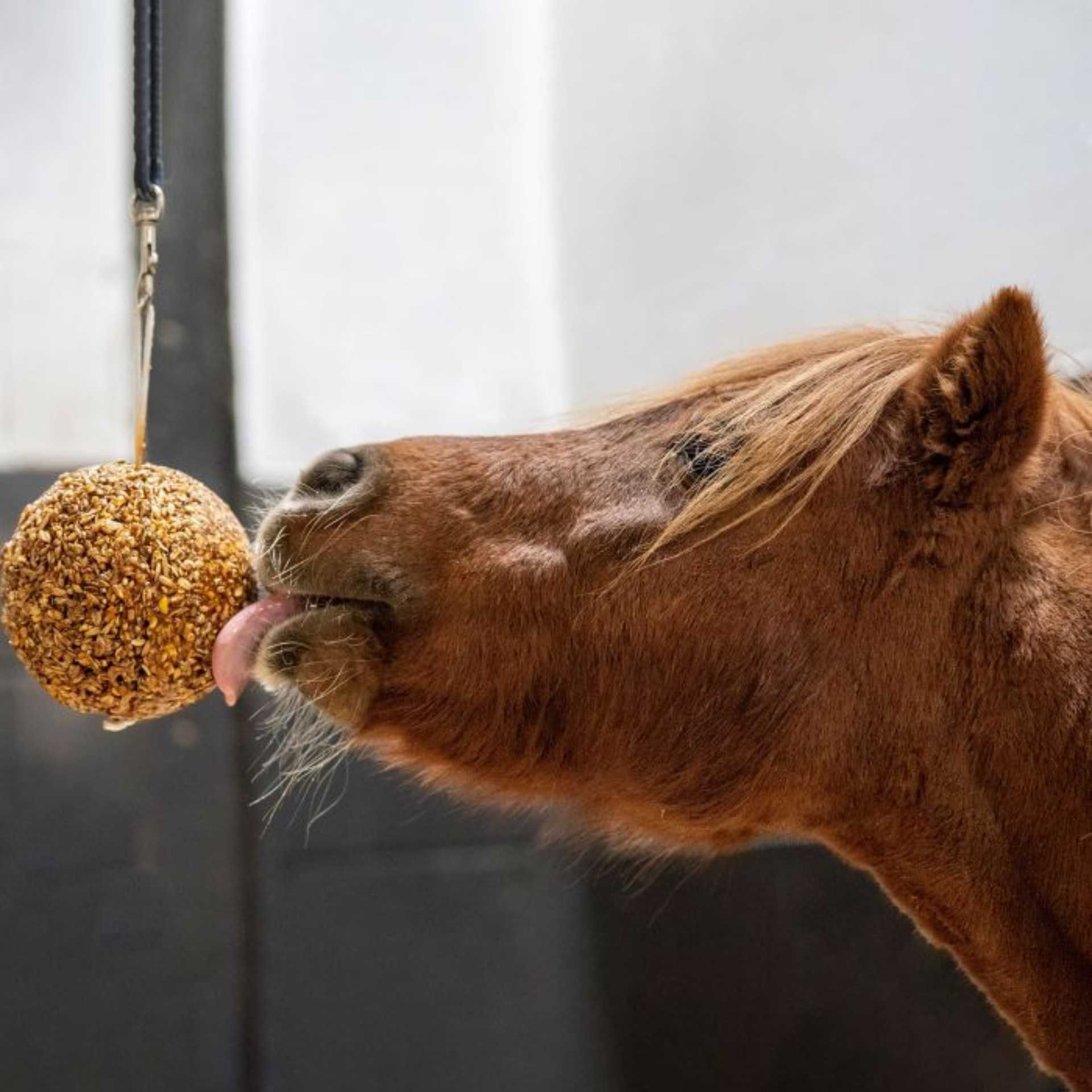Likit Granola Stall Ball Apple, 1.6 kg Horse Treat Ball