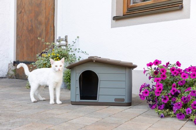 Kerbl Pet Katzenhaus Paola Eco XL, mediterrane Optik, im Einsatz