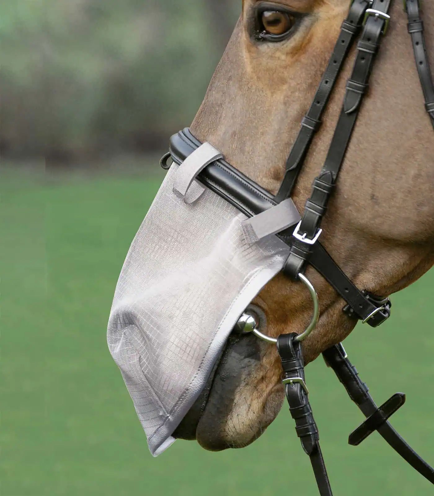 Waldhausen Protection anti-mouches pour naseaux, anti-UV, gris argent, Cob