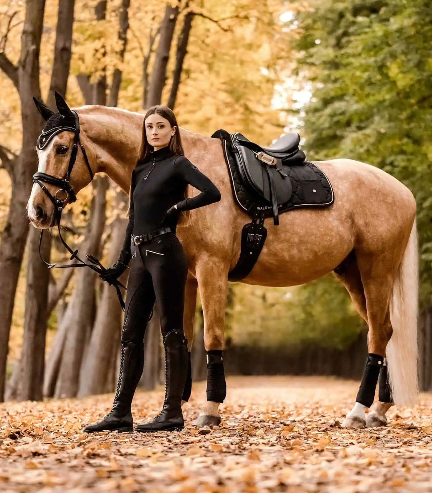 Chabraque Waldhausen Modern Rosé avec poche & piqûre florale, noir/or VSS