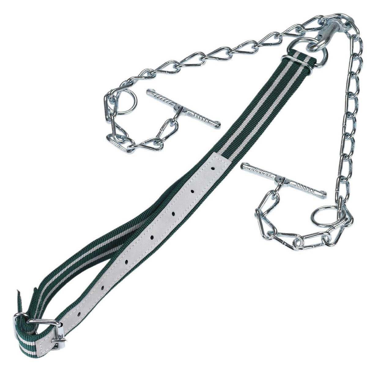 Fixation du bétail avec chaîne + mousqueton