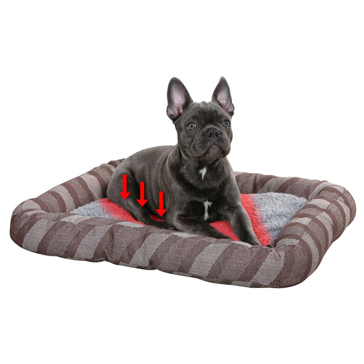 Kerbl Pablo Cuccia cane autoriscaldante, grigia, peluche morbido, in uso