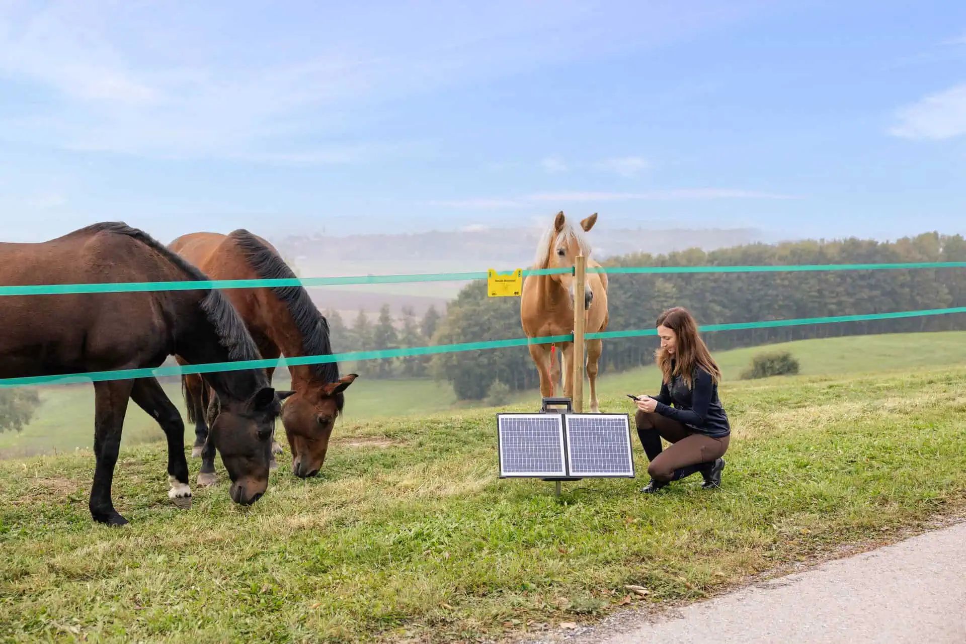 AKO Sun Power S 4000 Smart Weidezaungerät mit Solar & App-Steuerung, im Einsatz, auf der Weide