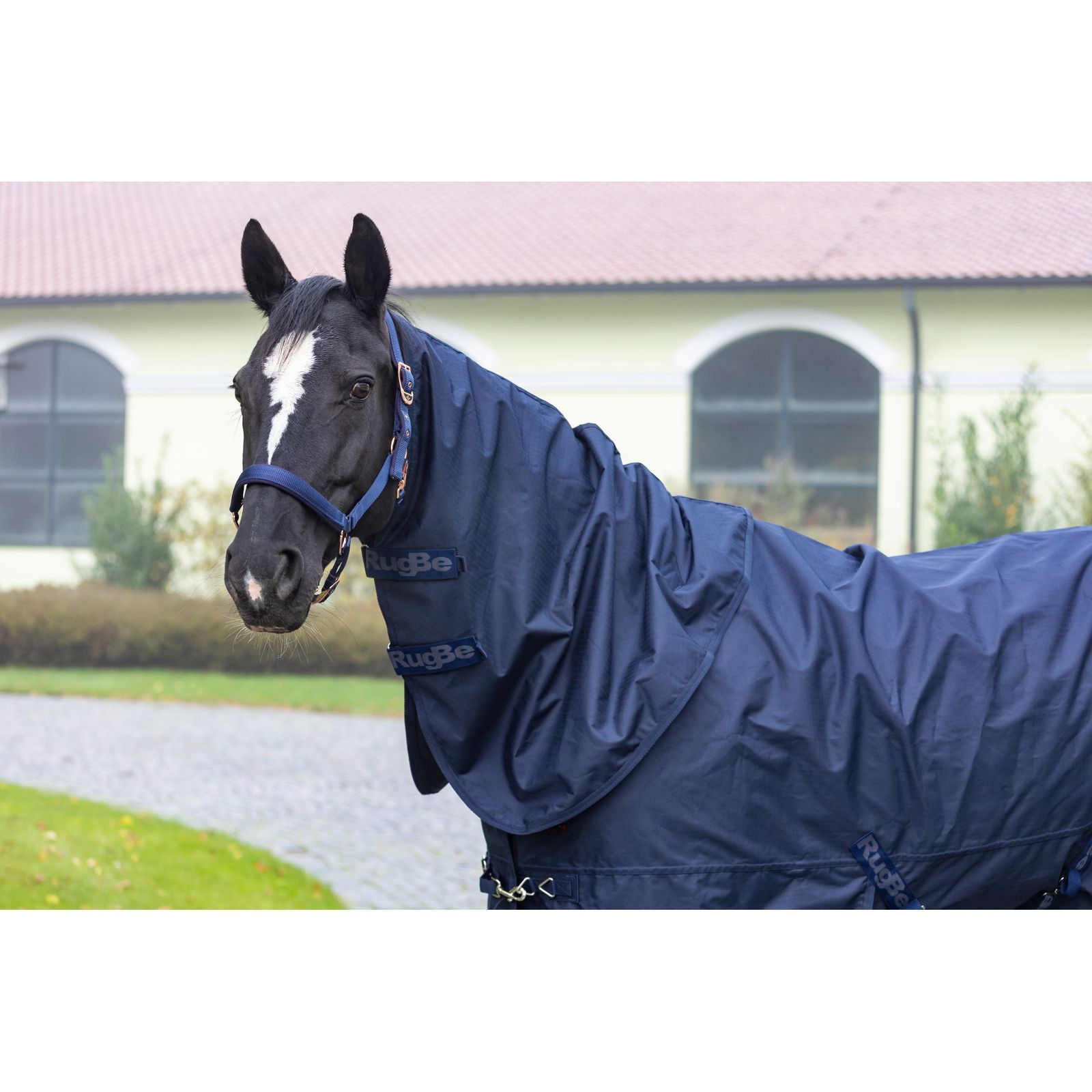Covalliero RugBe Zero Neck Cover for Horses, Unlined, Waterproof, Dark Navy, M