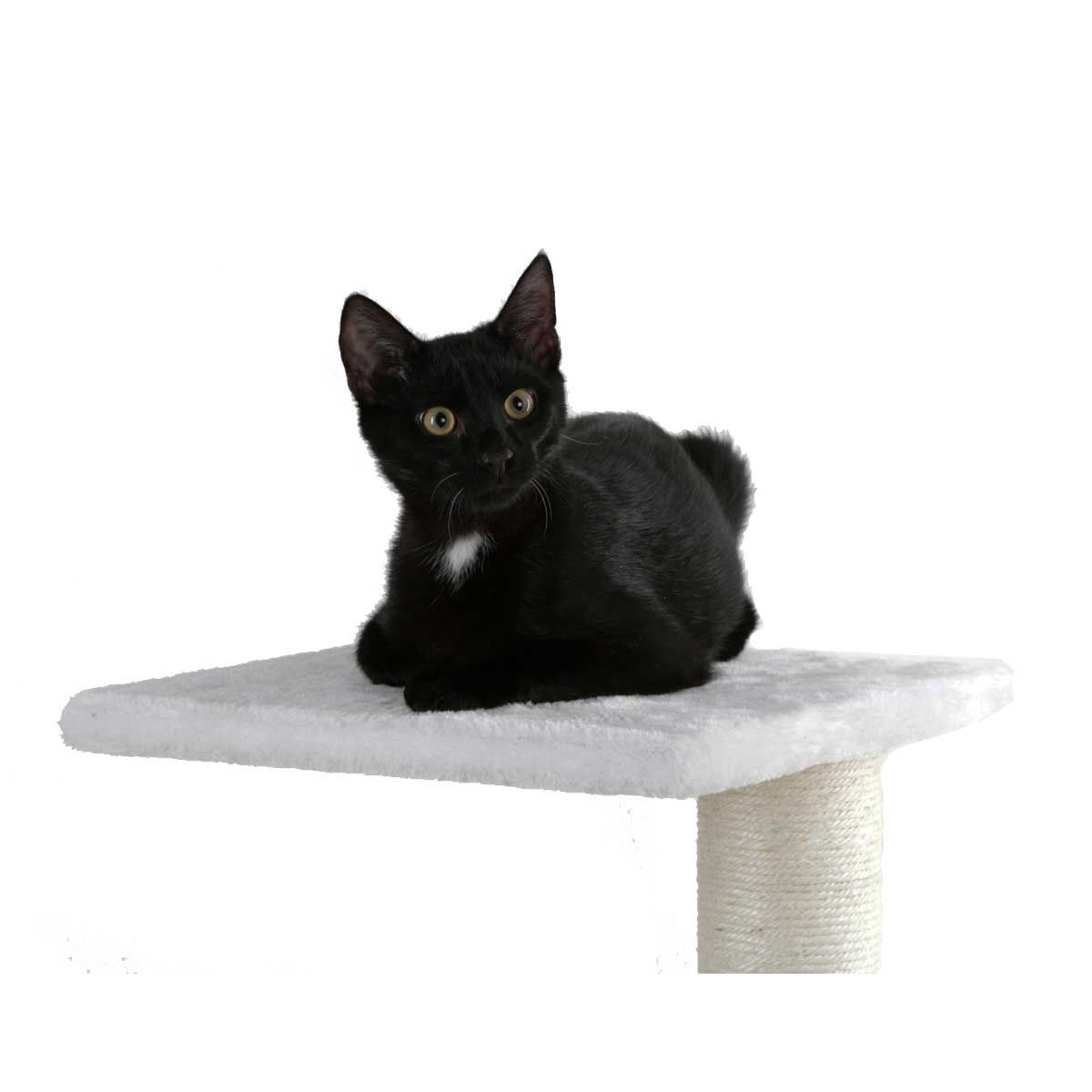 Kerbl Zgârietoare VENUS, 109 cm înălțime, stâlp din sisal, în utilizare