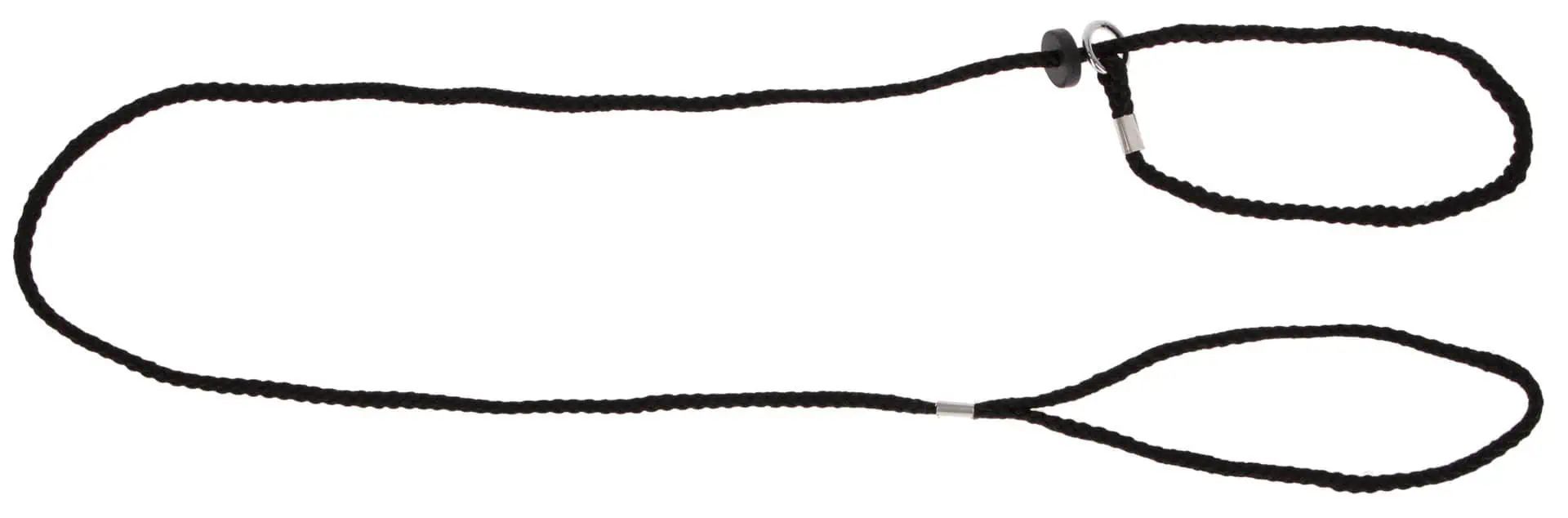 Laisse longue de présentation pour chien noire en nylon avec collier 6 mm x 125 cm