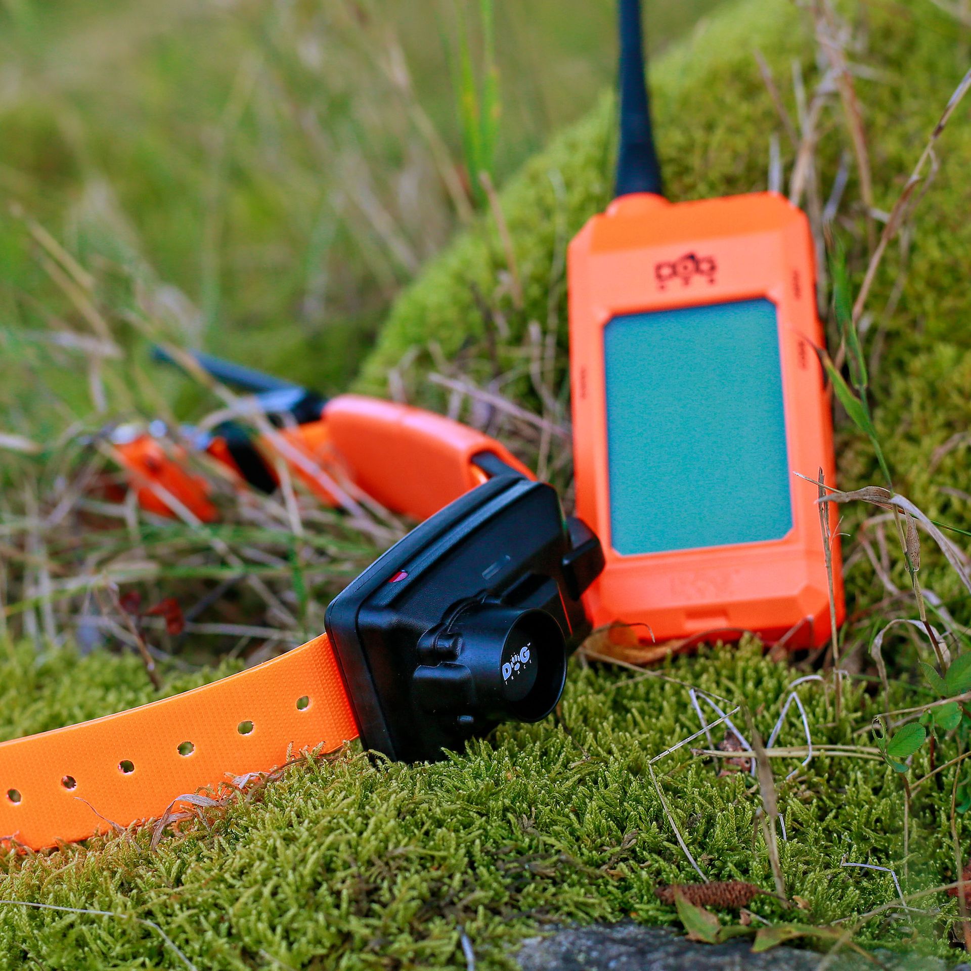 Dogtrace X30B Short GPS nyomkövető szett, applikáció funkcióval, hangjelzővel, kistestű kutyáknak, használat közben