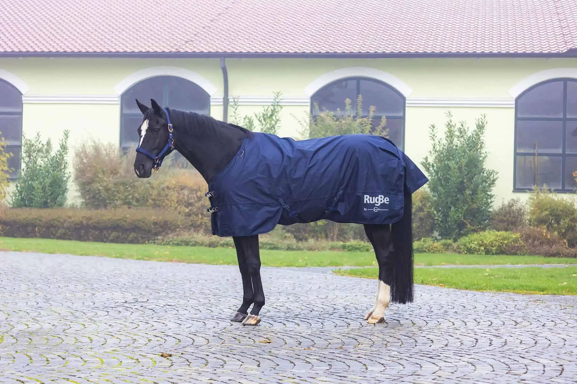 Covalliero Pătură pentru cal în aer liber RugBe Zero, dark navy, în utilizare