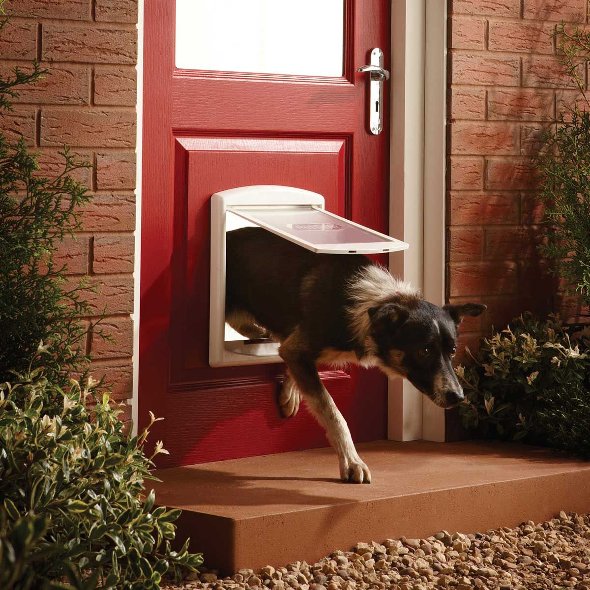 PetSafe Hundeklappe Staywell 740, für Hunde bis 18 kg, im Einsatz