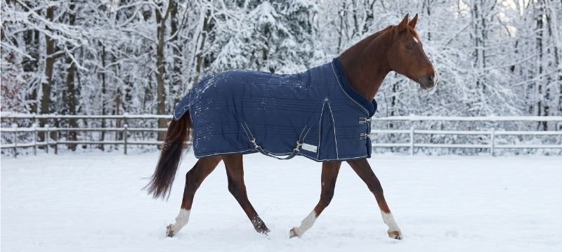 Couverture d'hiver