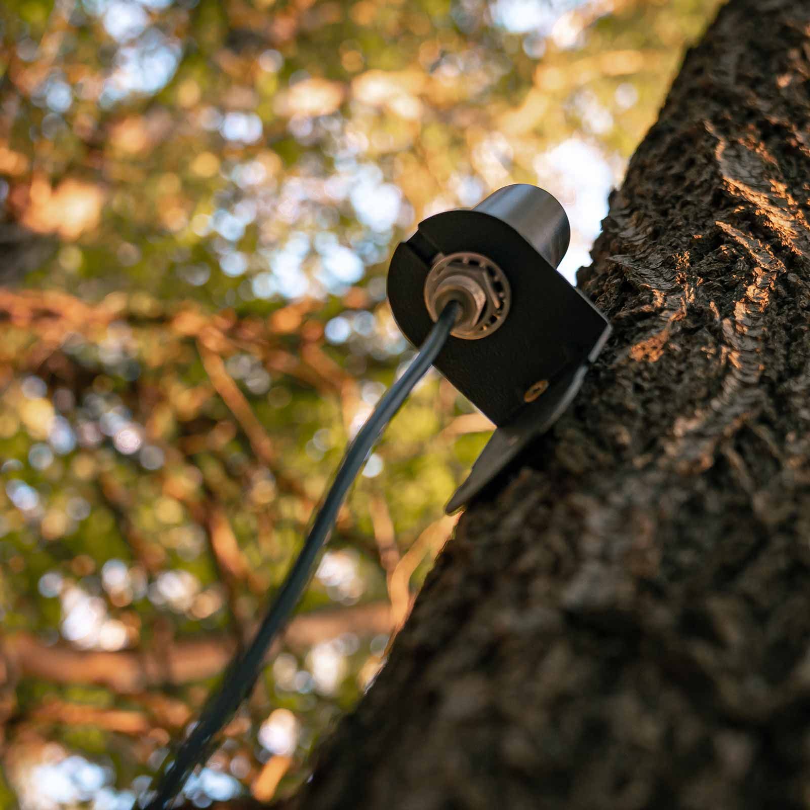 Spypoint CA-01 Long-Range Antenna for Trail Cameras, 4.6 m Cable, in use