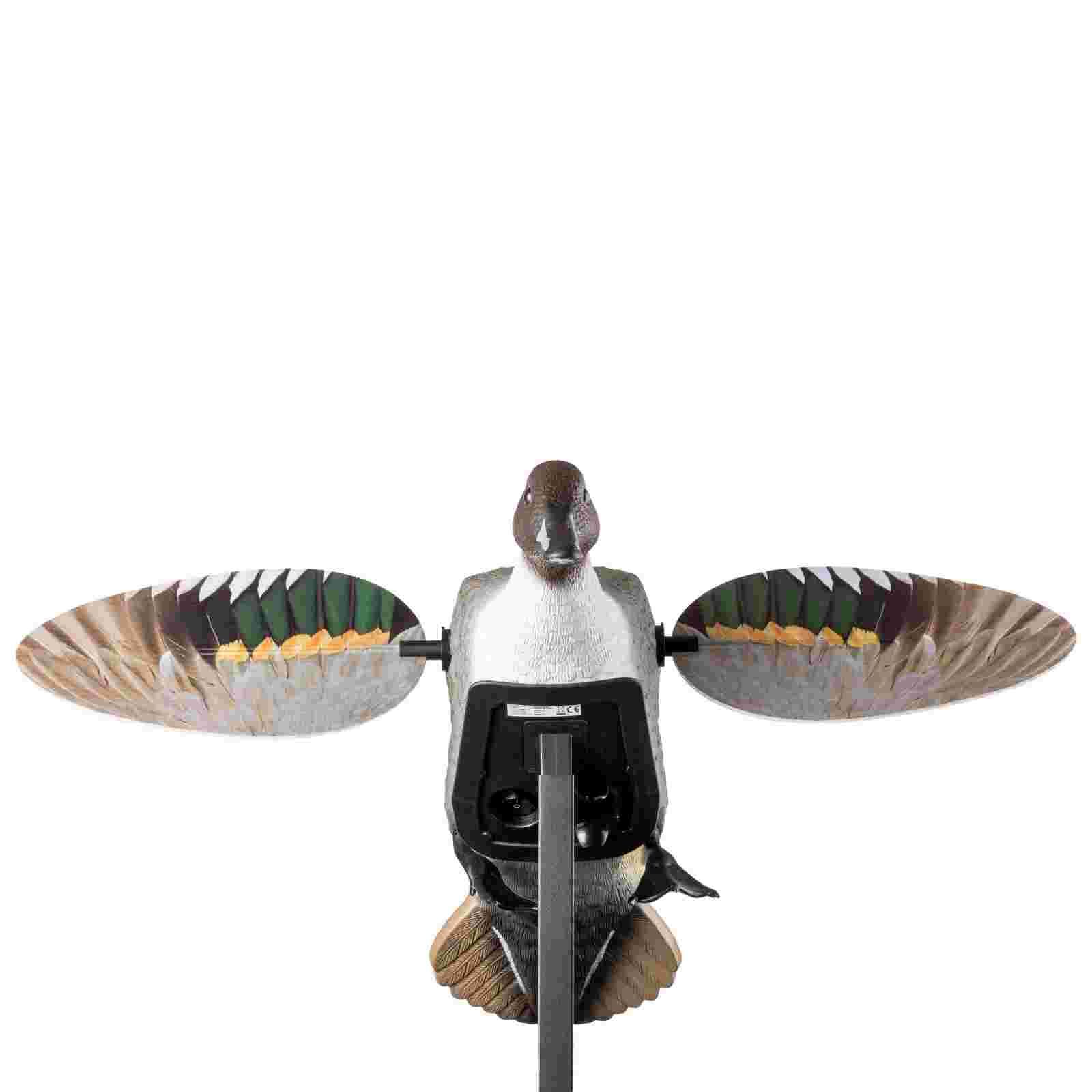 Mojo ES Pintail Vogelattrappe, Rückansicht