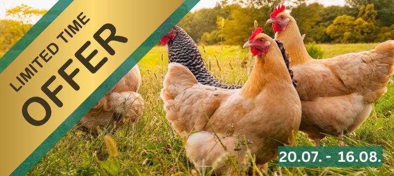 Mondo Gallina - Promozioni della settimana