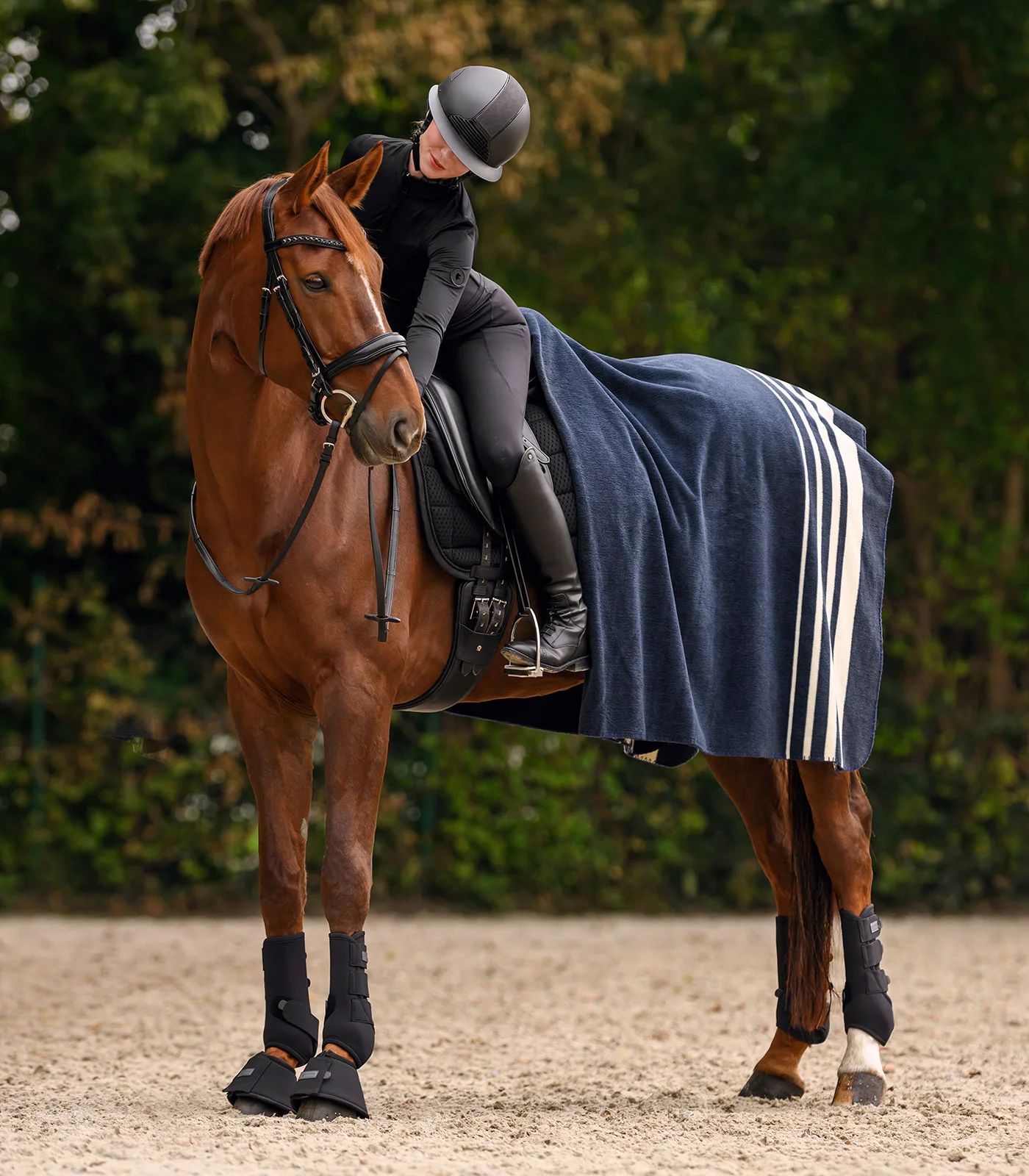 Pferd, Reitsport, Reitzeug, Helm, Decke