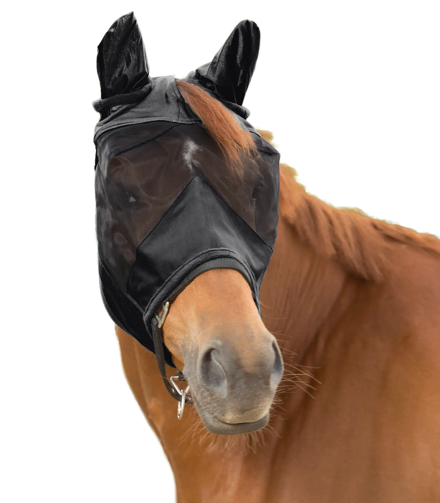 Masque anti-mouches Waldhausen Premium 3 en 1, noir, Cob