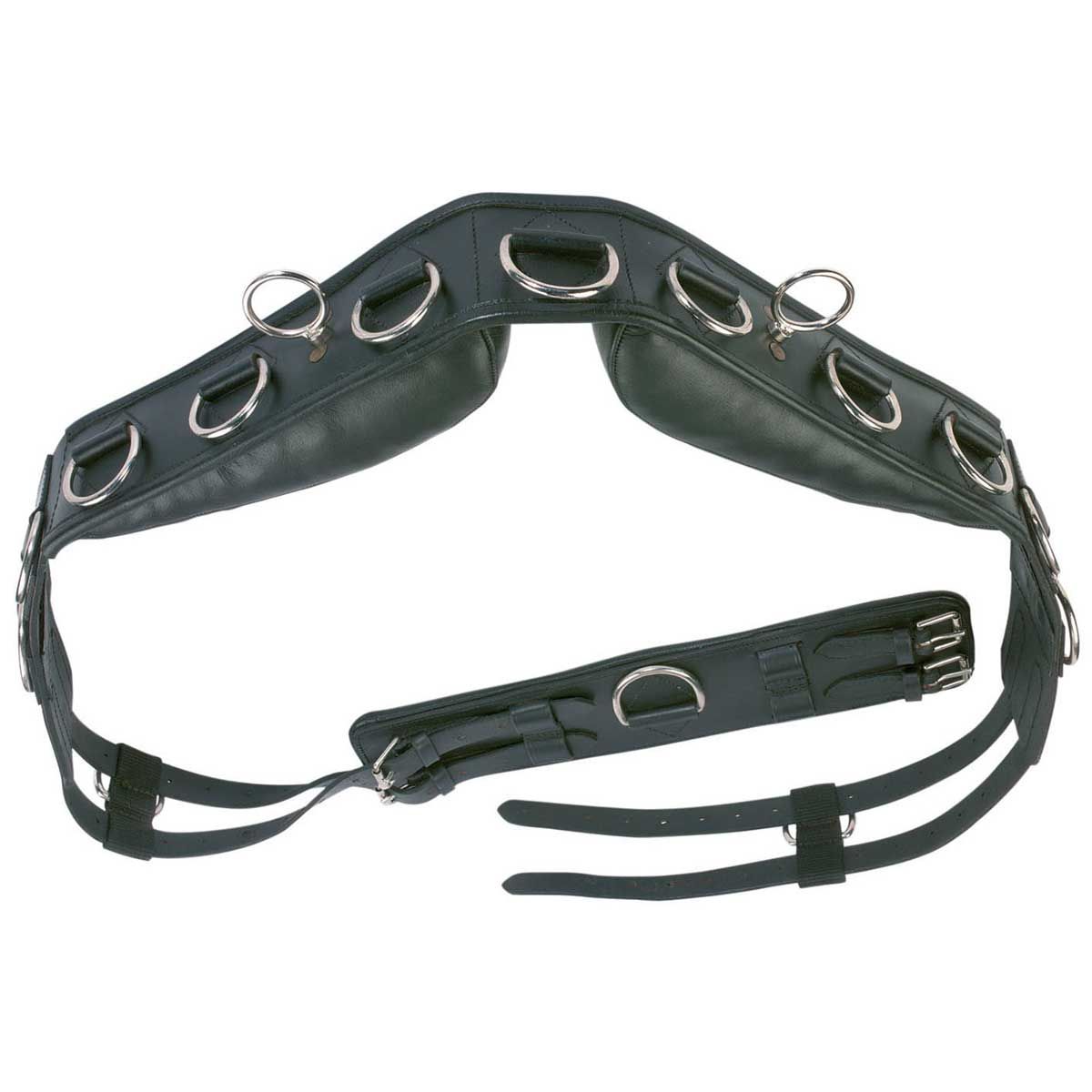 BUSSE Lungeing Girth PROFESSIONAL-LEATHER, Sturdy Leather, WB