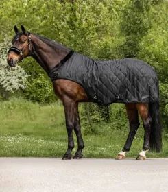 Braunes Pferd mit dunkler gesteppter Halsdecke steht auf einem Weg vor Gruenpflanzen