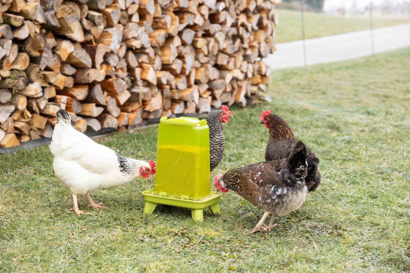 chickens, poultry, feeders, waterer, outdoor farm