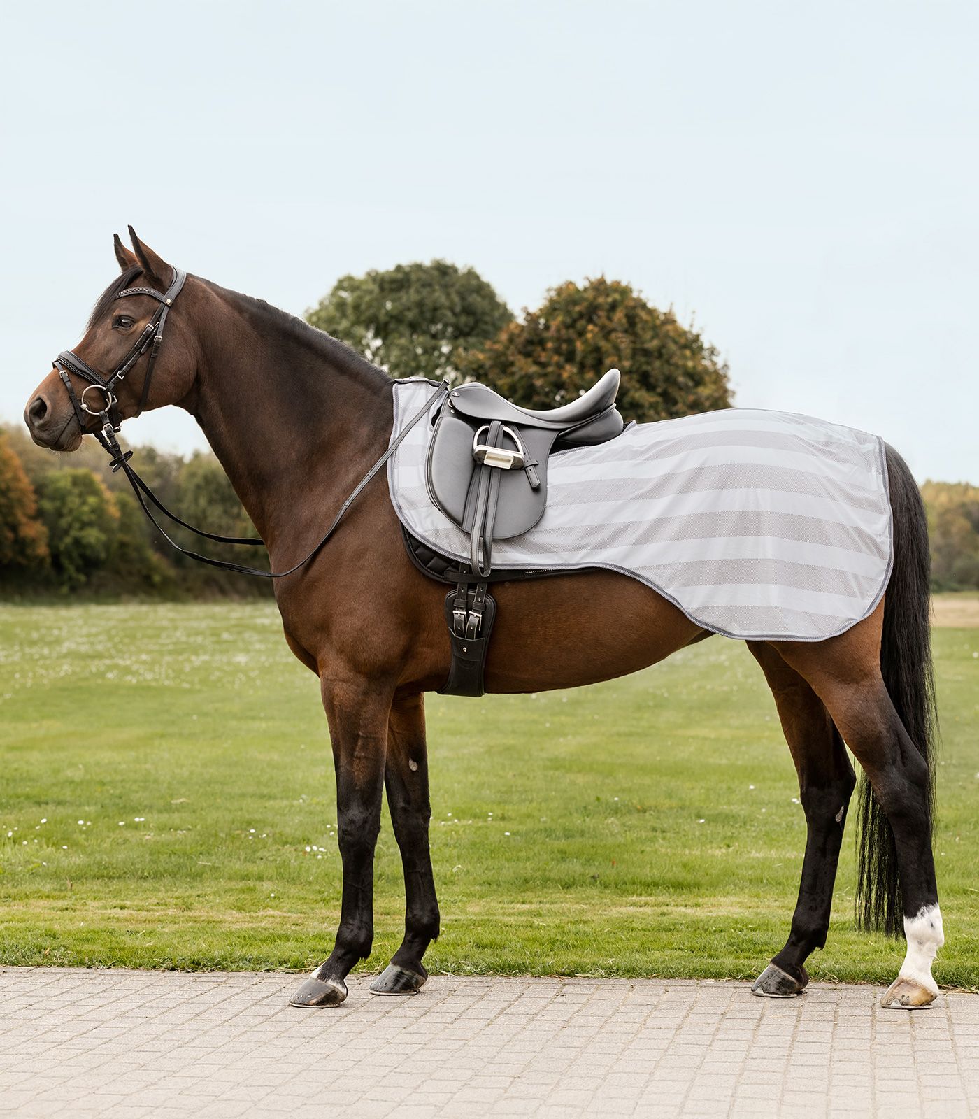 Waldhausen Couverture d'extérieur anti-mouches économique, COB, gris argenté