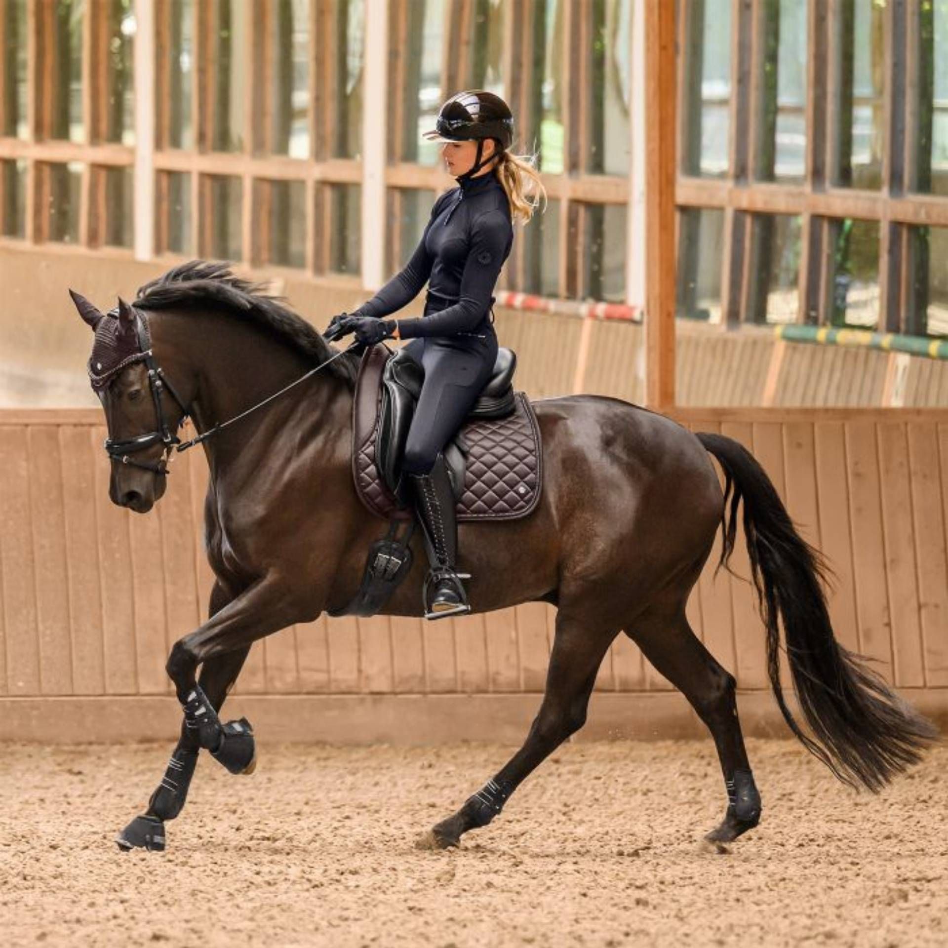 reitensport, pferd, reiterin, sattel, ausrüstung