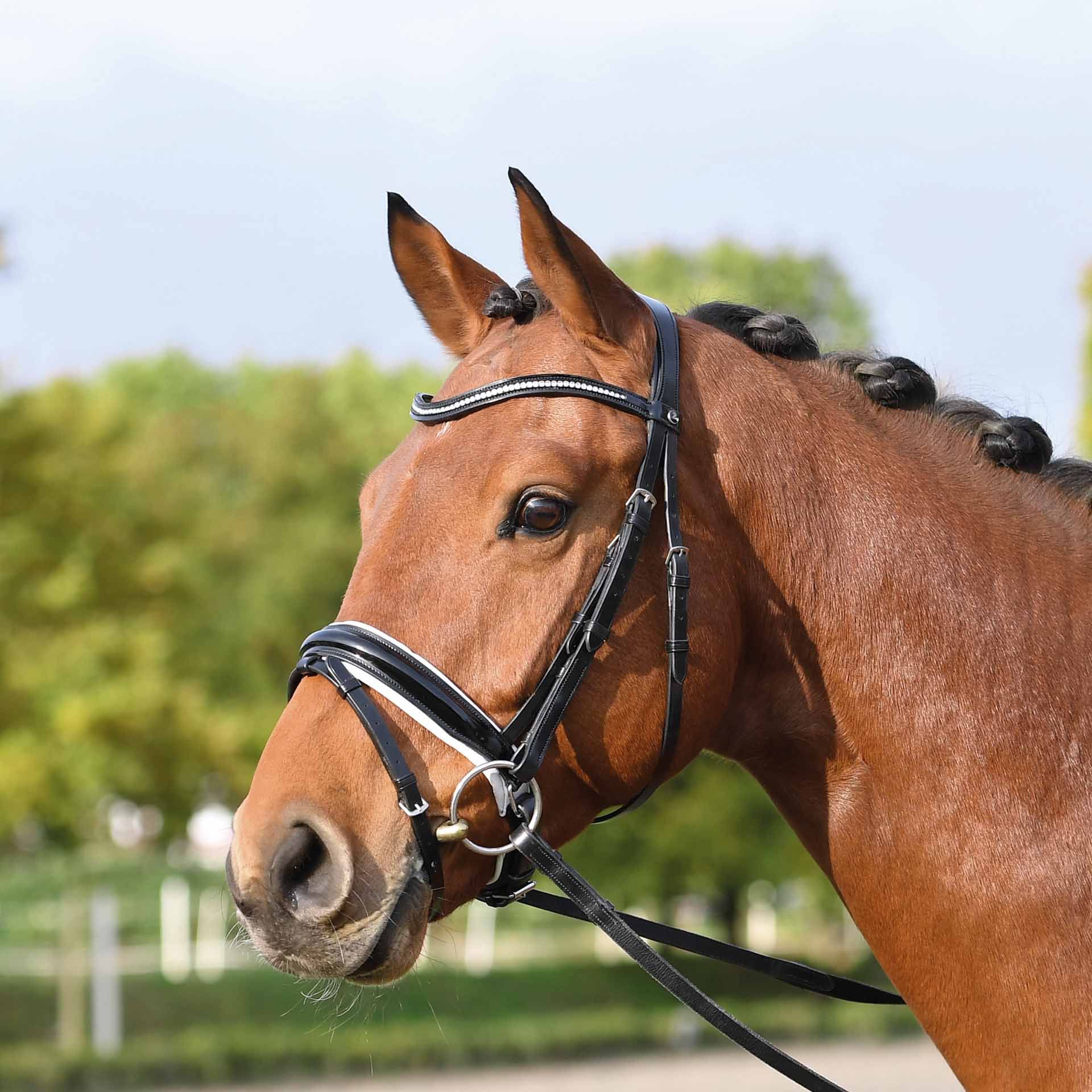 BUSSE Snaffle MASSA COB svartvitt