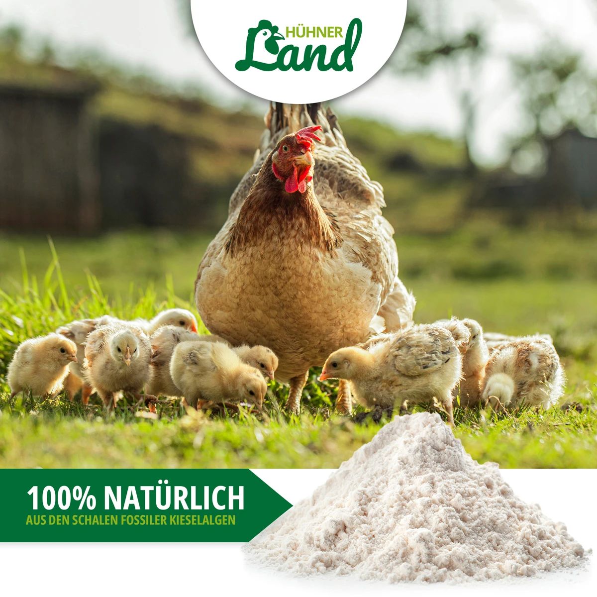 Hühnerland Pământ de diatomee natural 4,3 kg, exemplu de utilizare, pe pășune