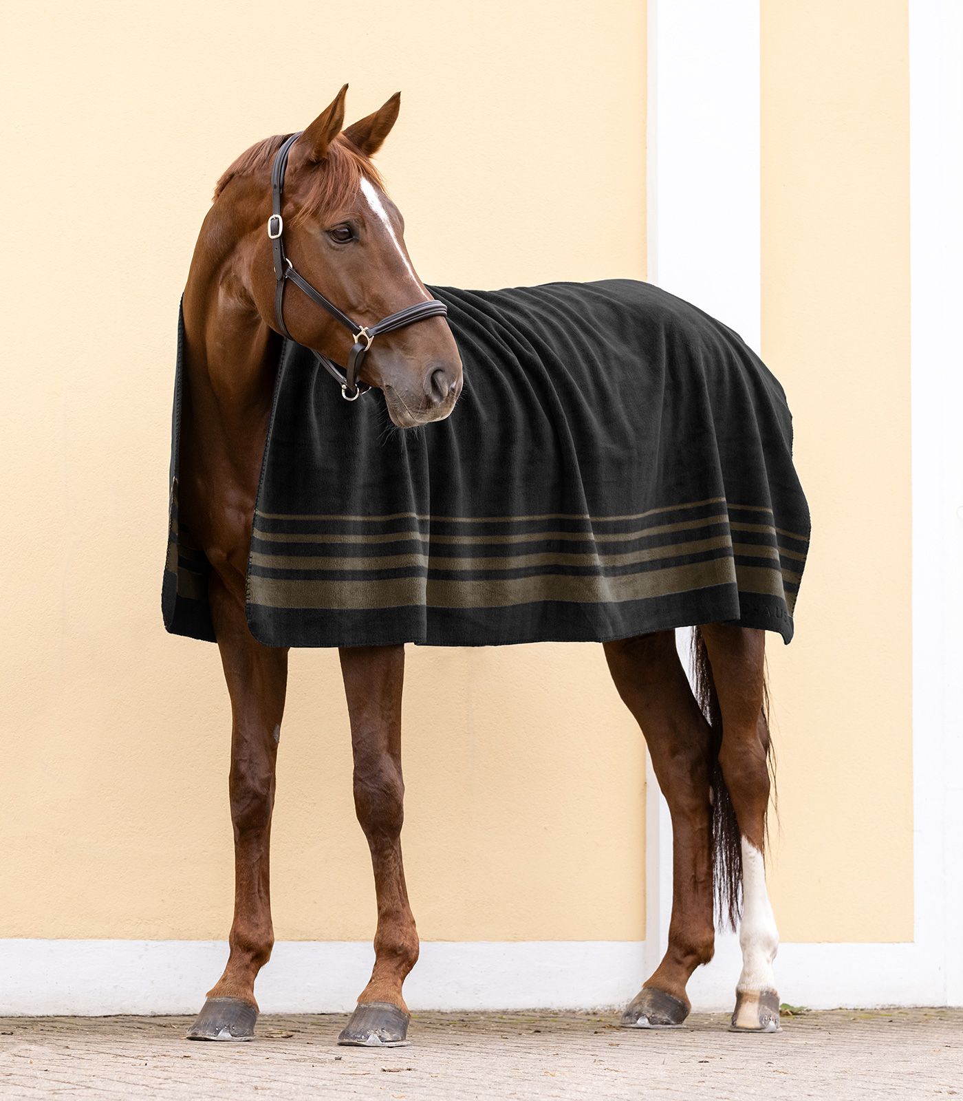 Waldhausen Sölden fleece blanket, thick horse rug 330 g/m², in use