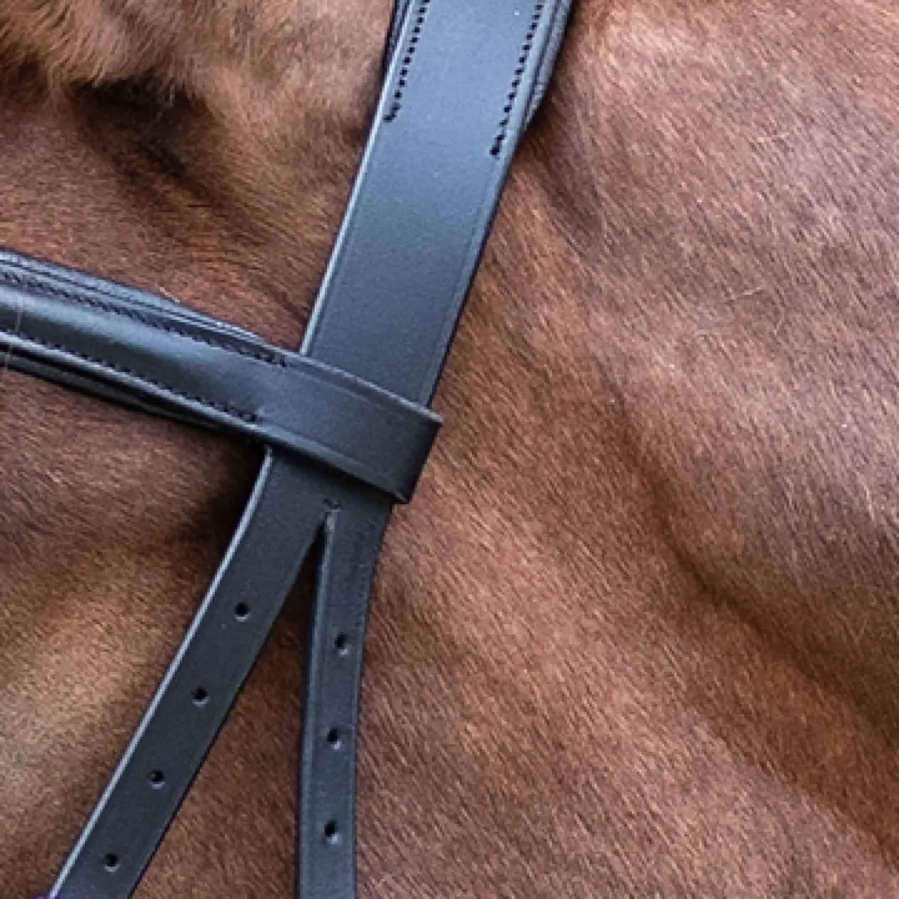 STAR Bridon sans mors, rembourré, Effet Scawbrig pour chevaux dressés, détail