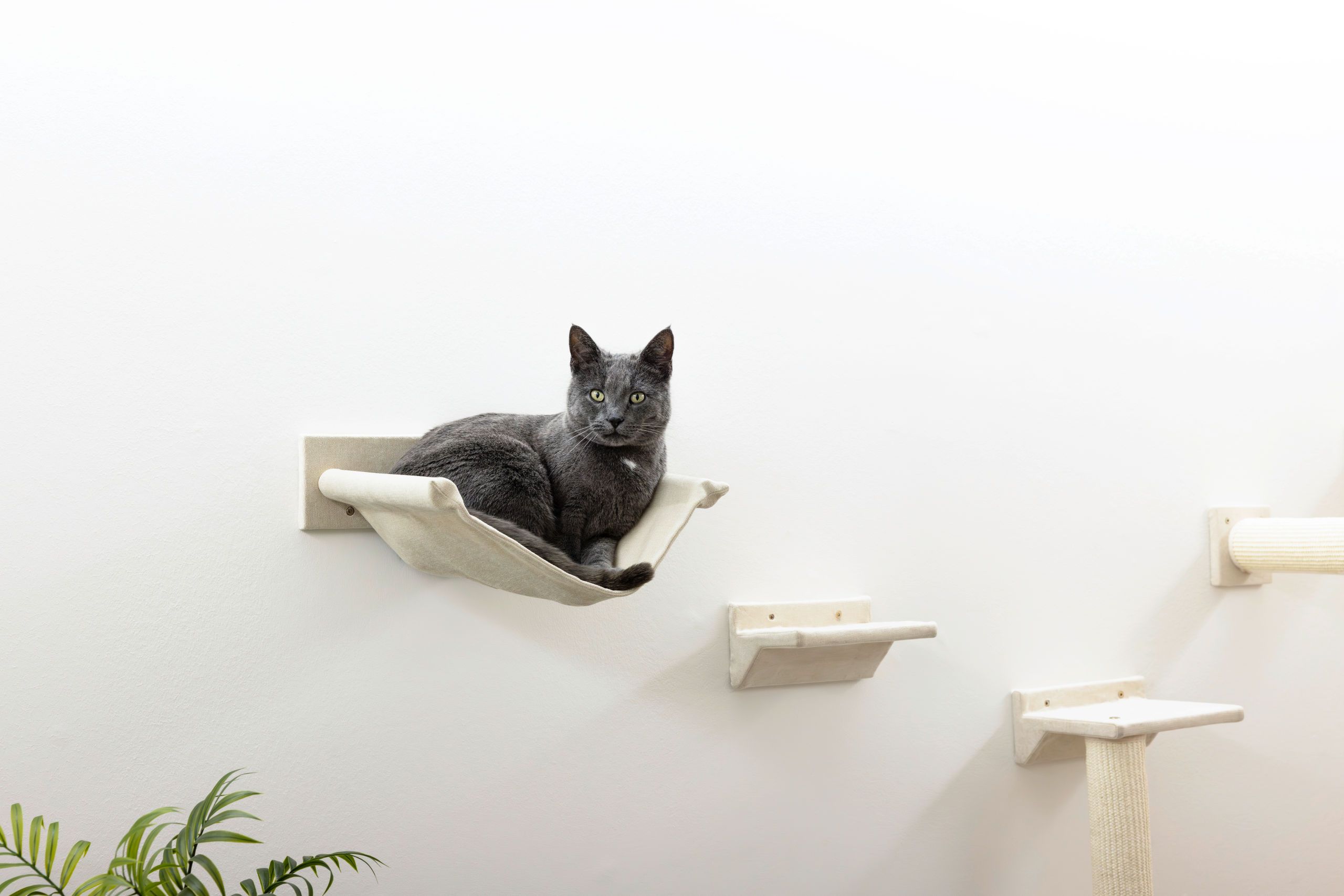 Kerbl Katzen-Kletterwand Monte Falco 10-teilig, beige