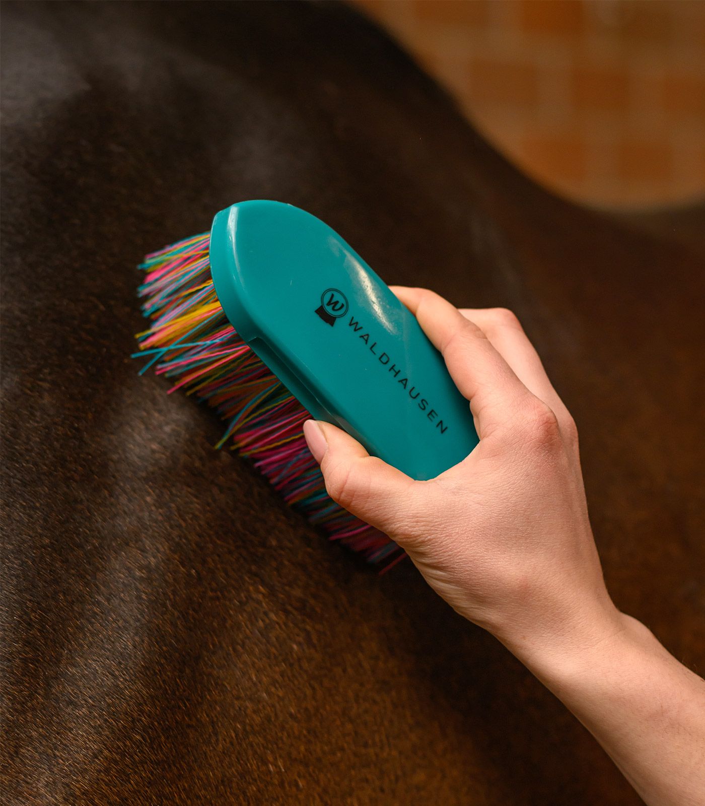 Bürste, Pferdepflege, Haarbürste, bunte Borsten, Mehrfarbig