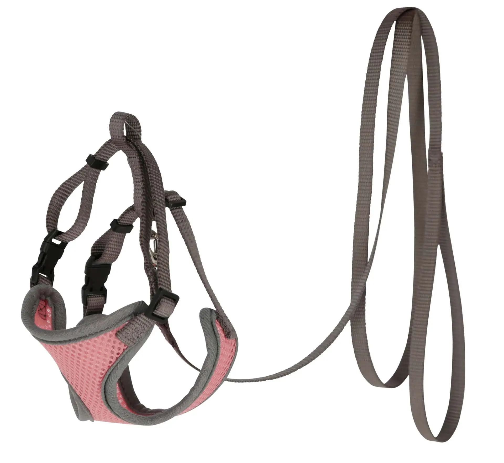 Cat harness with leash