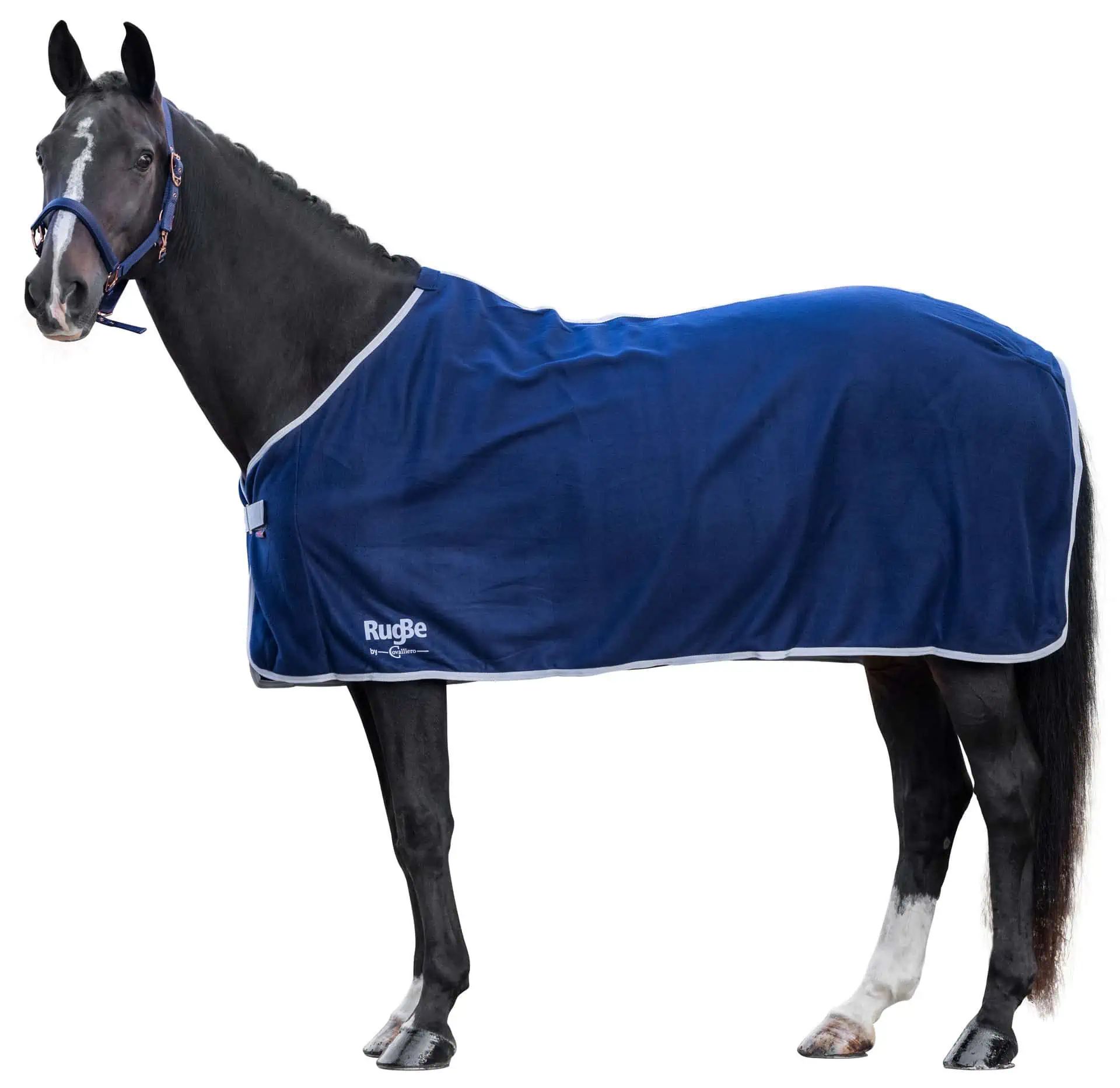 Covalliero Fleece Blanket RugBe Economic Sweat Rug, in use
