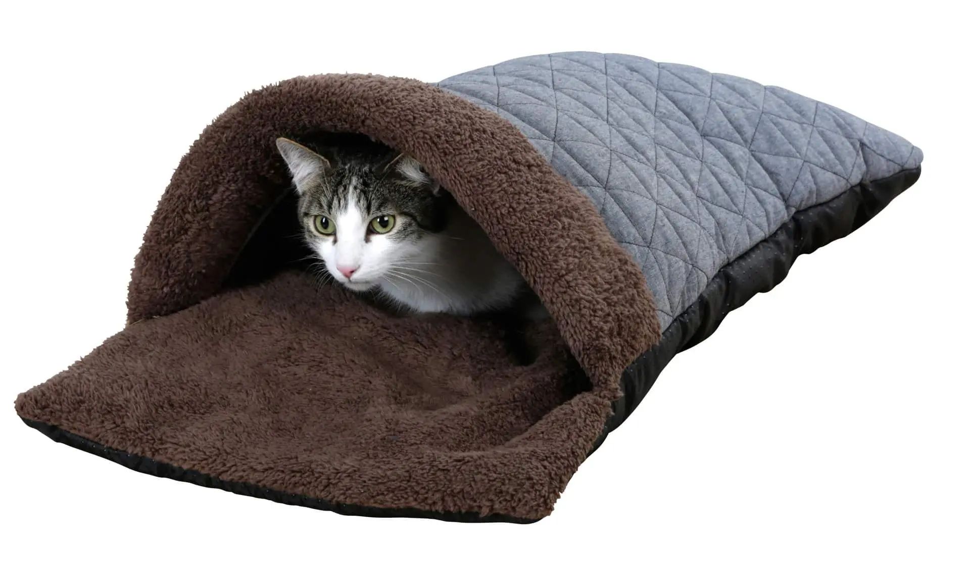 Kerbl Kuschelsack Thea, Plüsch, braun/blau, 40 x 70 x 12 cm, im Einsatz