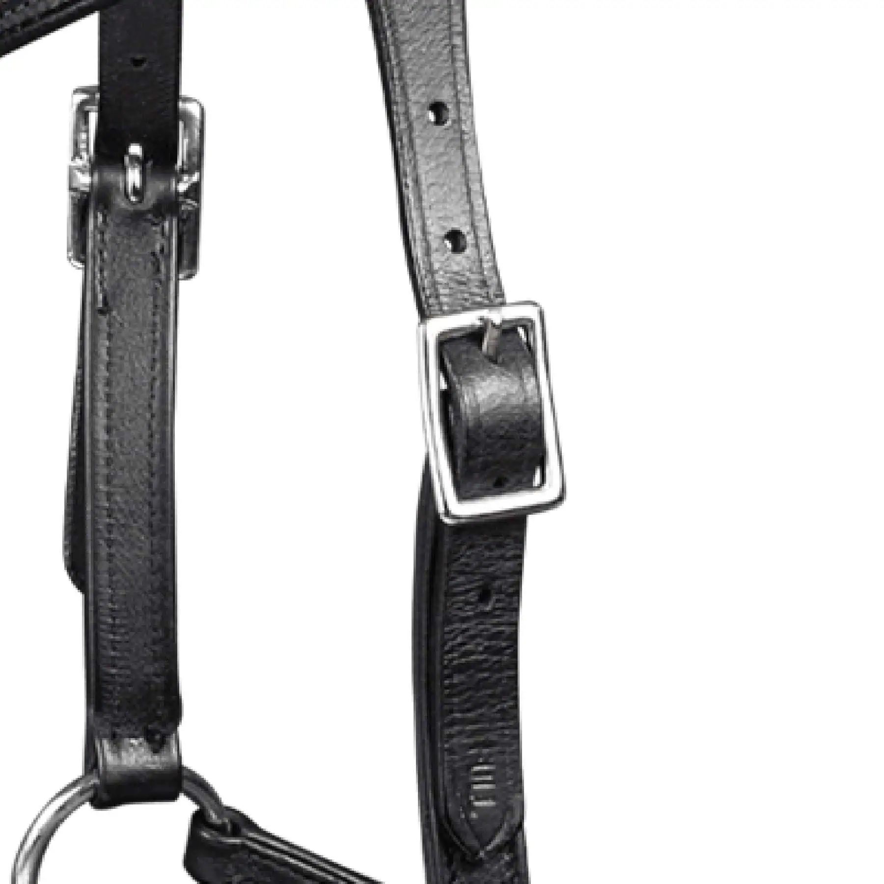 Briglia Waldhausen X-Line senza imboccatura Supersoft Nuova, Cuoio, dettaglio, chiusura