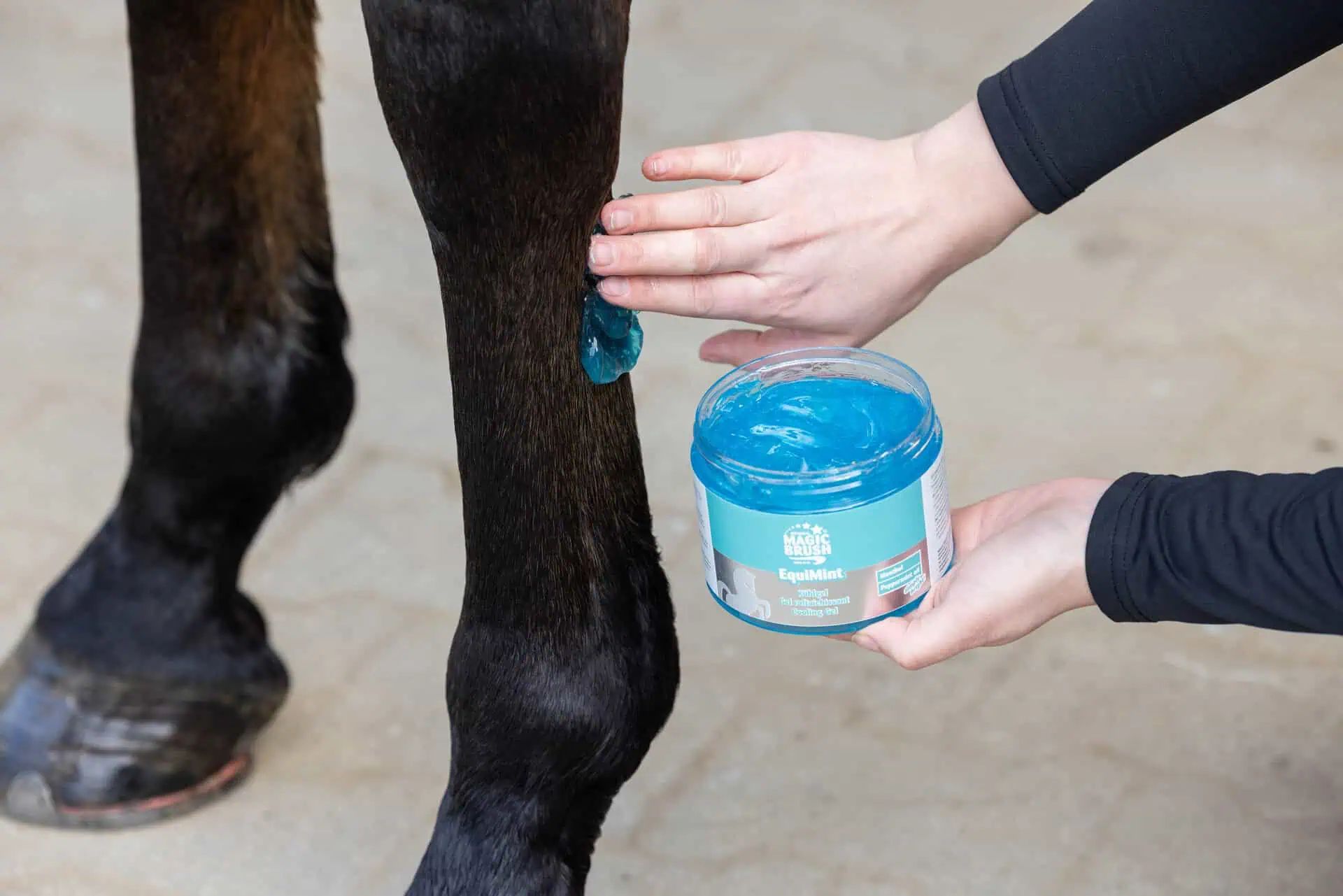 MagicBrush EquiMint, gel rafraîchissant pour cheval, menthol, 500 ml, en utilisation, jambe