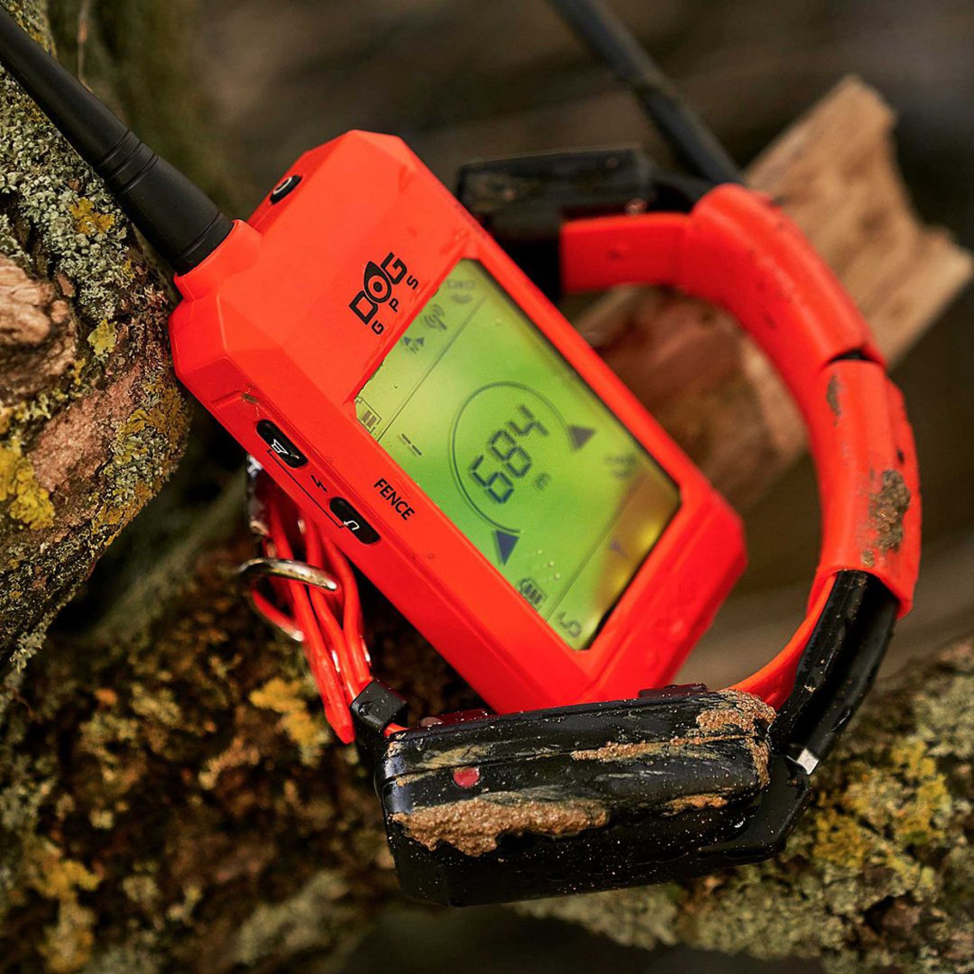 Dogtrace X30 Short GPS-Tracker Set, App-Funktion, kleine Hunde, im Einsatz
