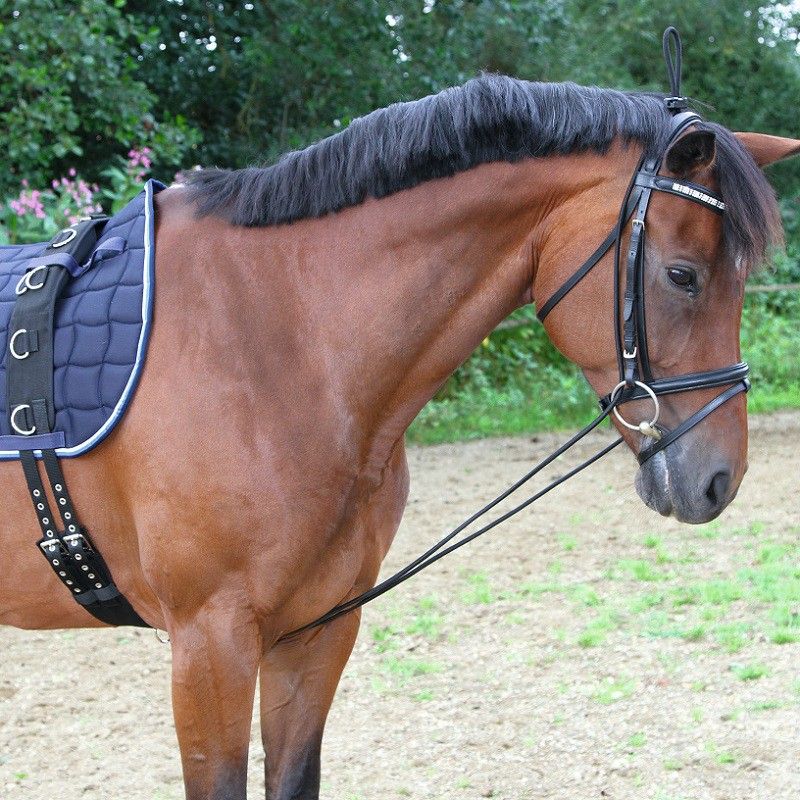 Kerbl Neck Extender for Horses, Black Elastic Training Aid, in use