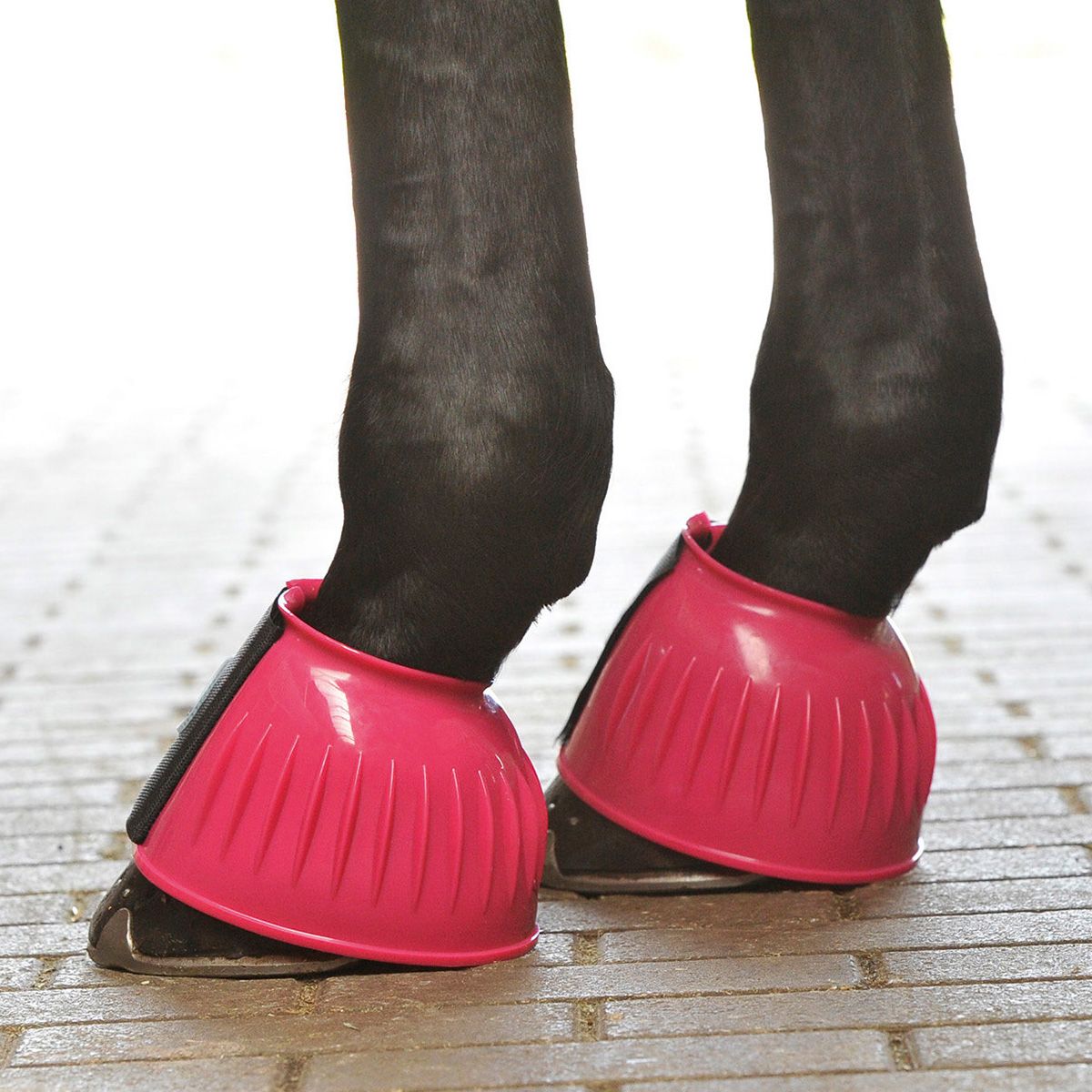 BUSSE Cloches à sabots STURDY, protection en PVC pour chevaux, fuchsia XL
