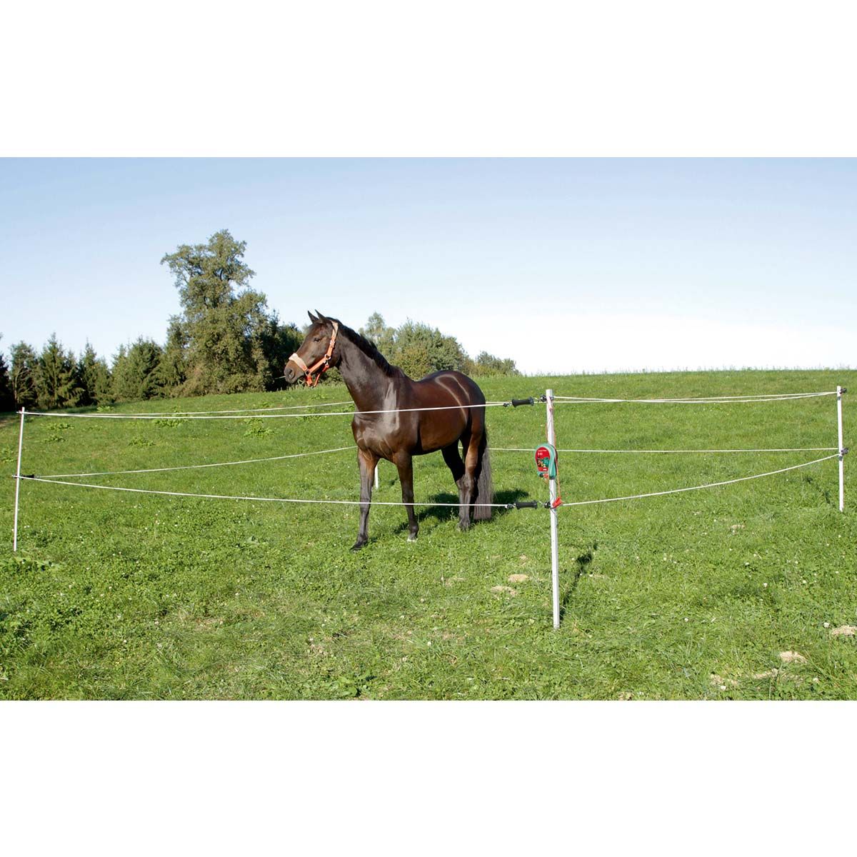 AKO Weidezaungerät Paddock Set 7 x 7 m Turnier-Set, im Einsatz, auf der Weide