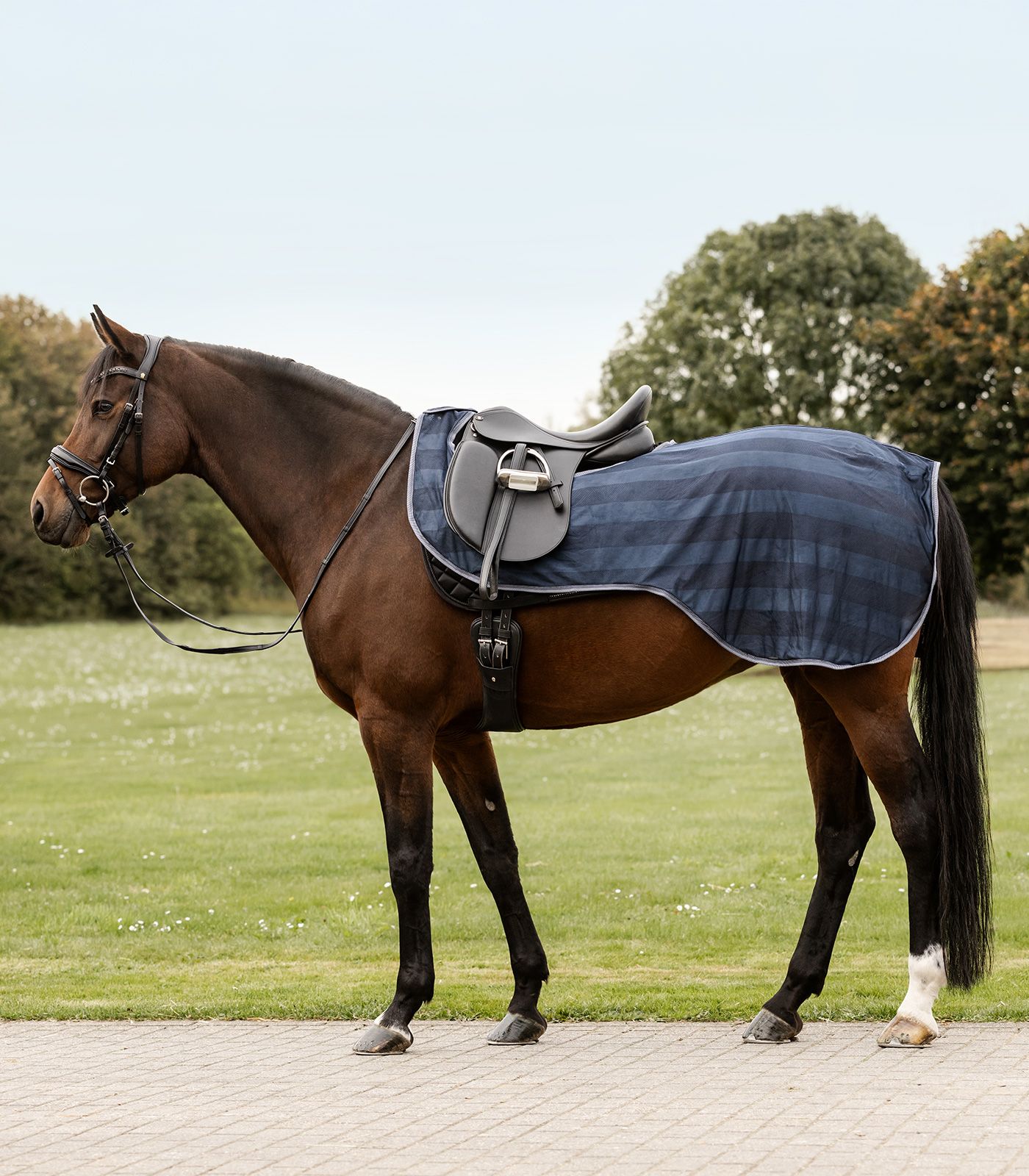 Waldhausen Fly Riding Rug Economic, midnight blue, COB