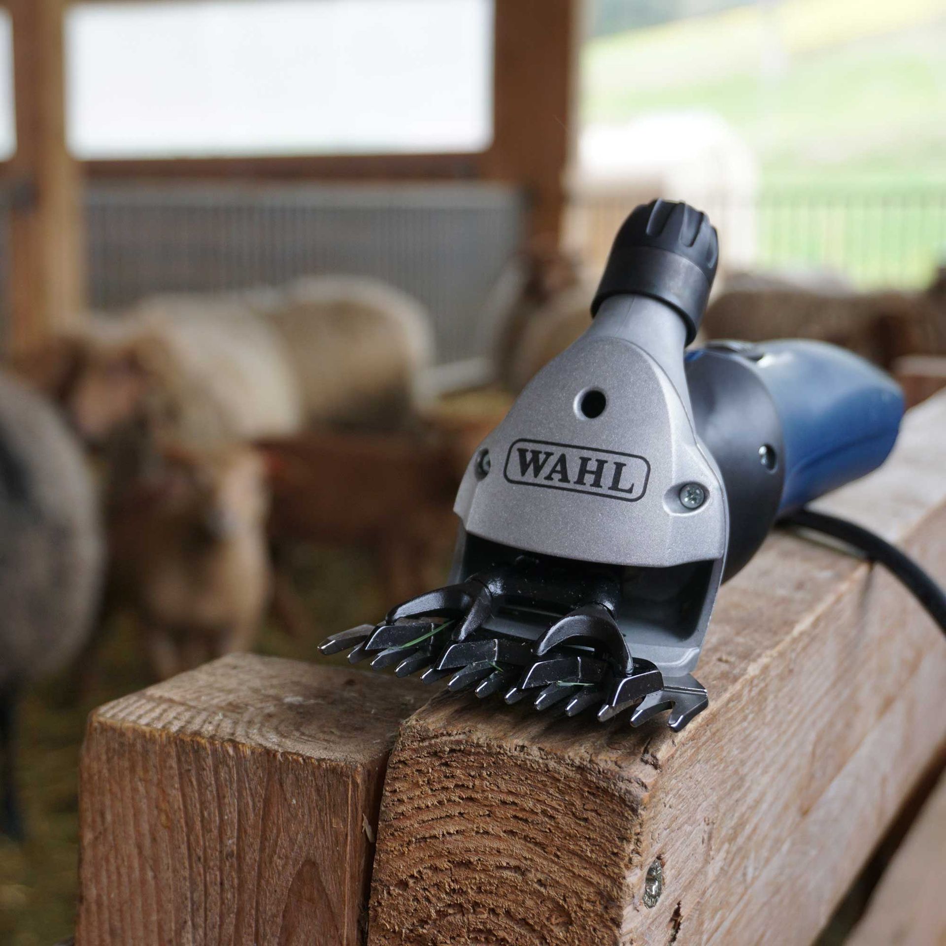 Wahl Fusion Schaf-Schermaschine, kraftvoller 360 W Motor, 2 Stufen, im Einsatz