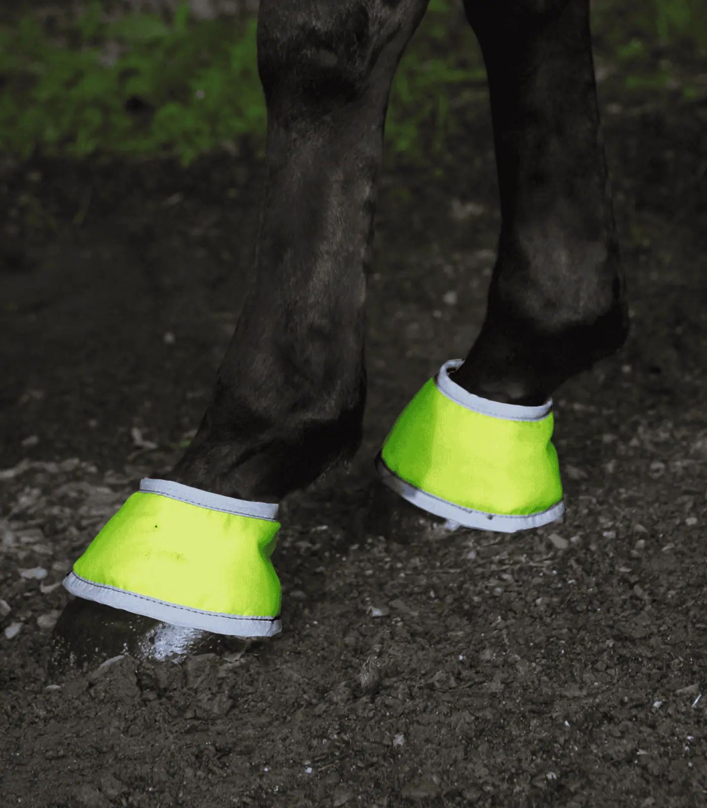 Waldhausen Clopote copite Reflex, galben neon, reflectorizante, FULL, în utilizare