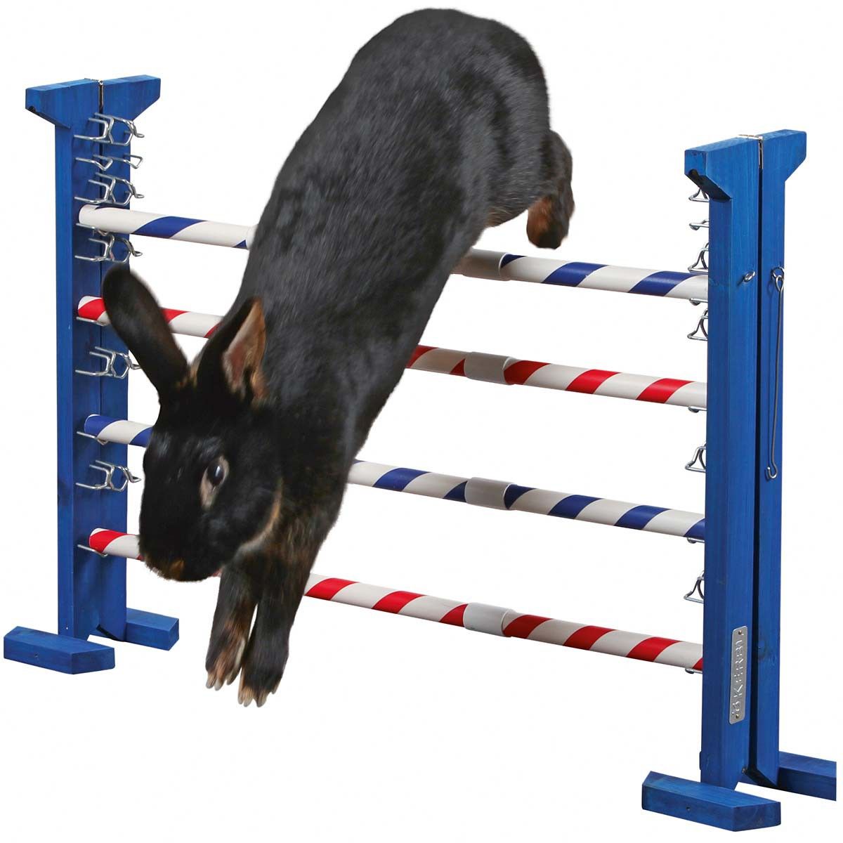 Kerbl Agility Kombisprung für Kaninchen & Nager, Höhe 53 cm, im Einsatz