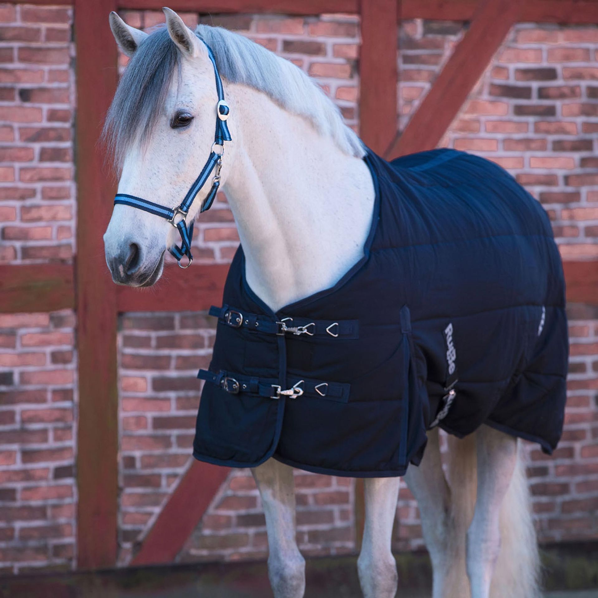 Covalliero Stalldecke RugBe Indoor 300D, 150g Thermovlies, atmungsaktiv, im Einsatz