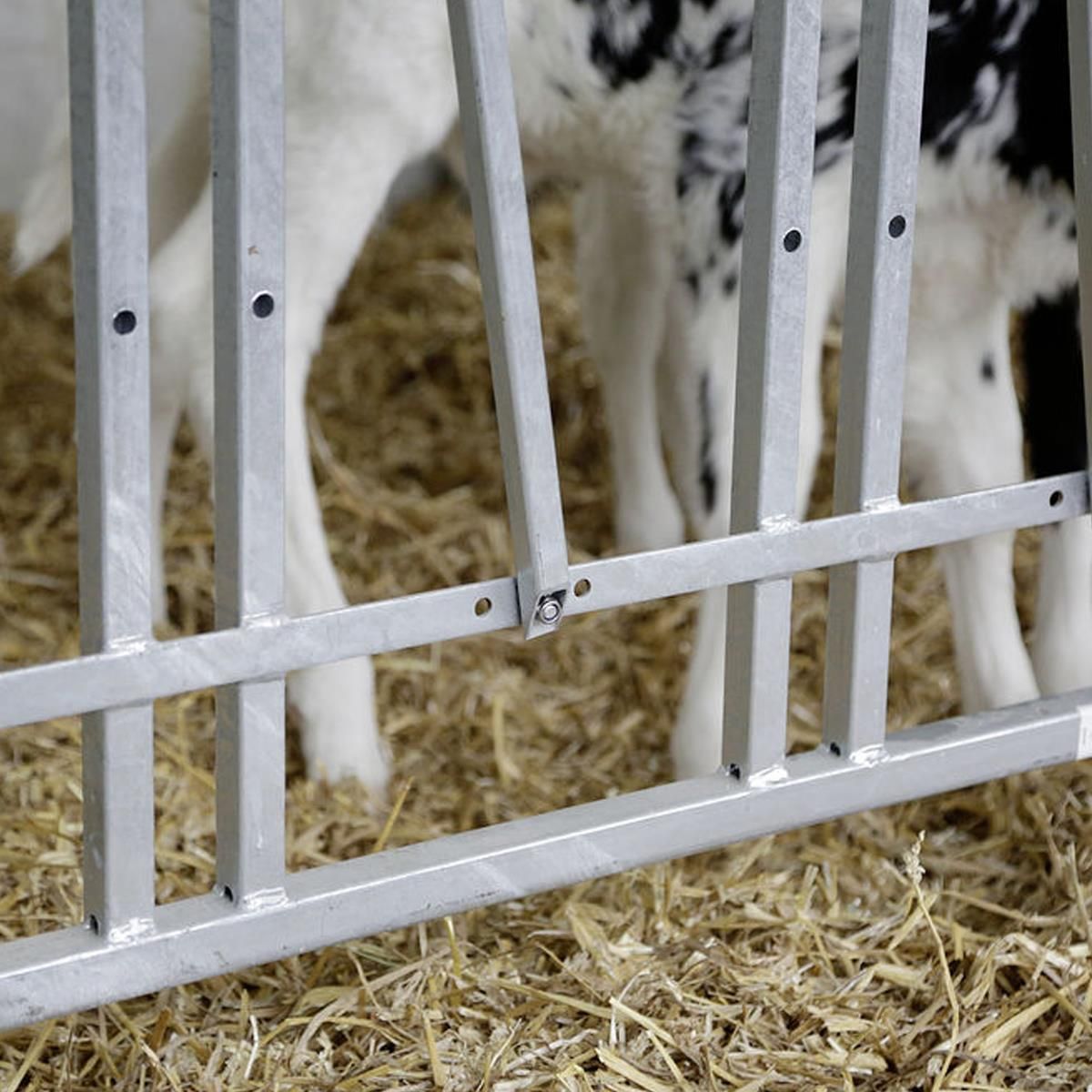 Cornadis Modulaire pour veaux, Enclos d'alimentation, détail, fermeture