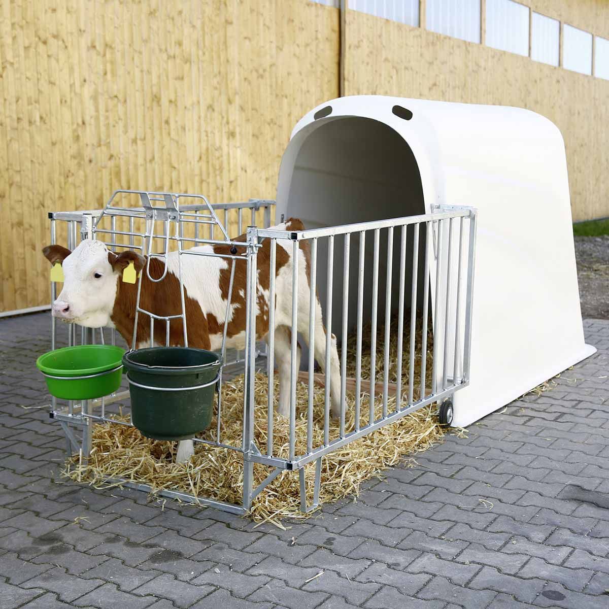 Kerbl Kälberhütte CalfHouse Premium Plus, große Einzelhütte, mit leichter Umzäunung