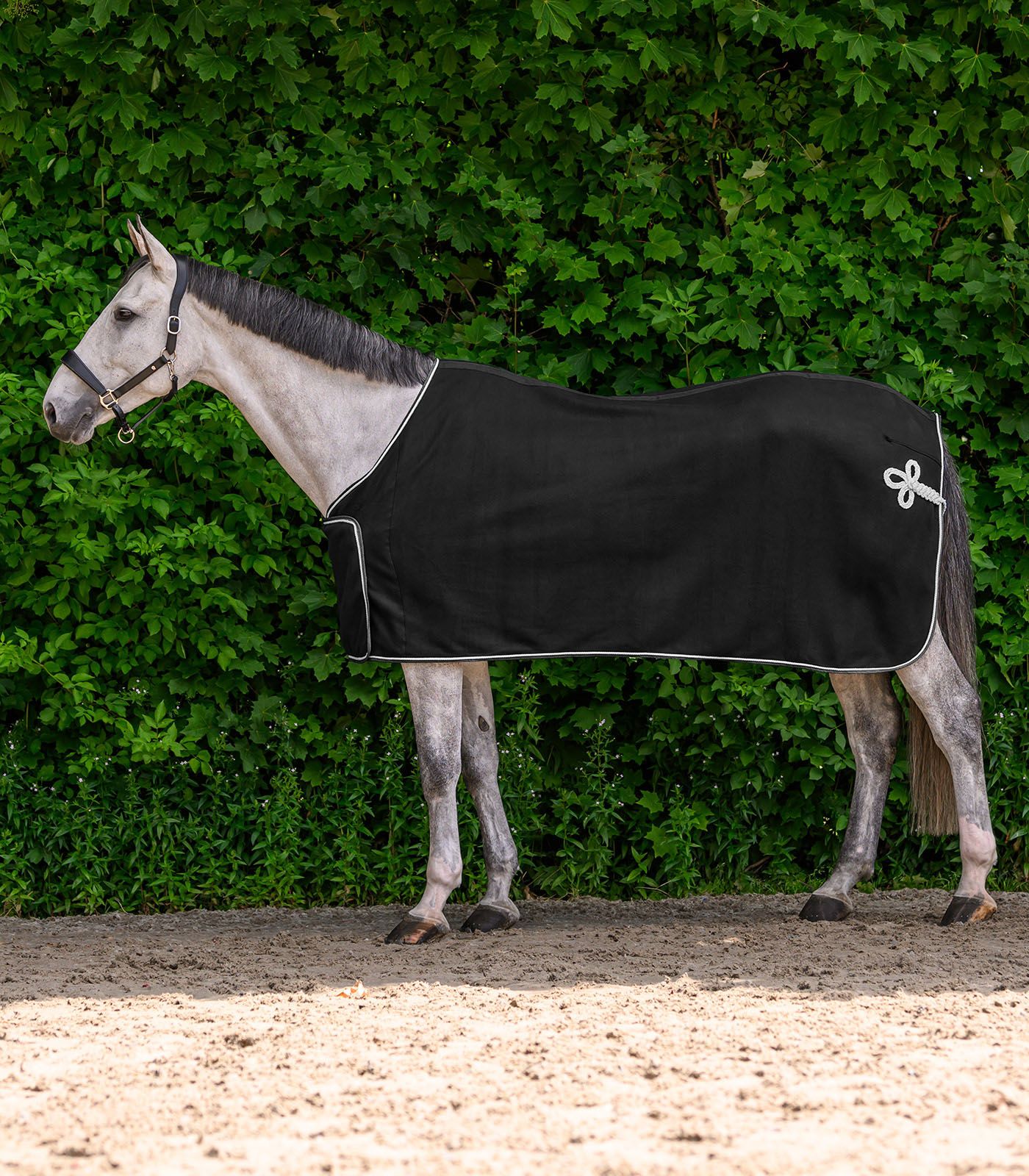 Waldhausen ECONOMIC Fleece- und Sponsorendecke – Paradedecke zum Besticken, schwarz