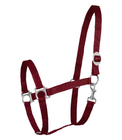 Pferdehalfter aus Nylon in Weinrot mit verstellbaren Schnallen und Karabinerhaken