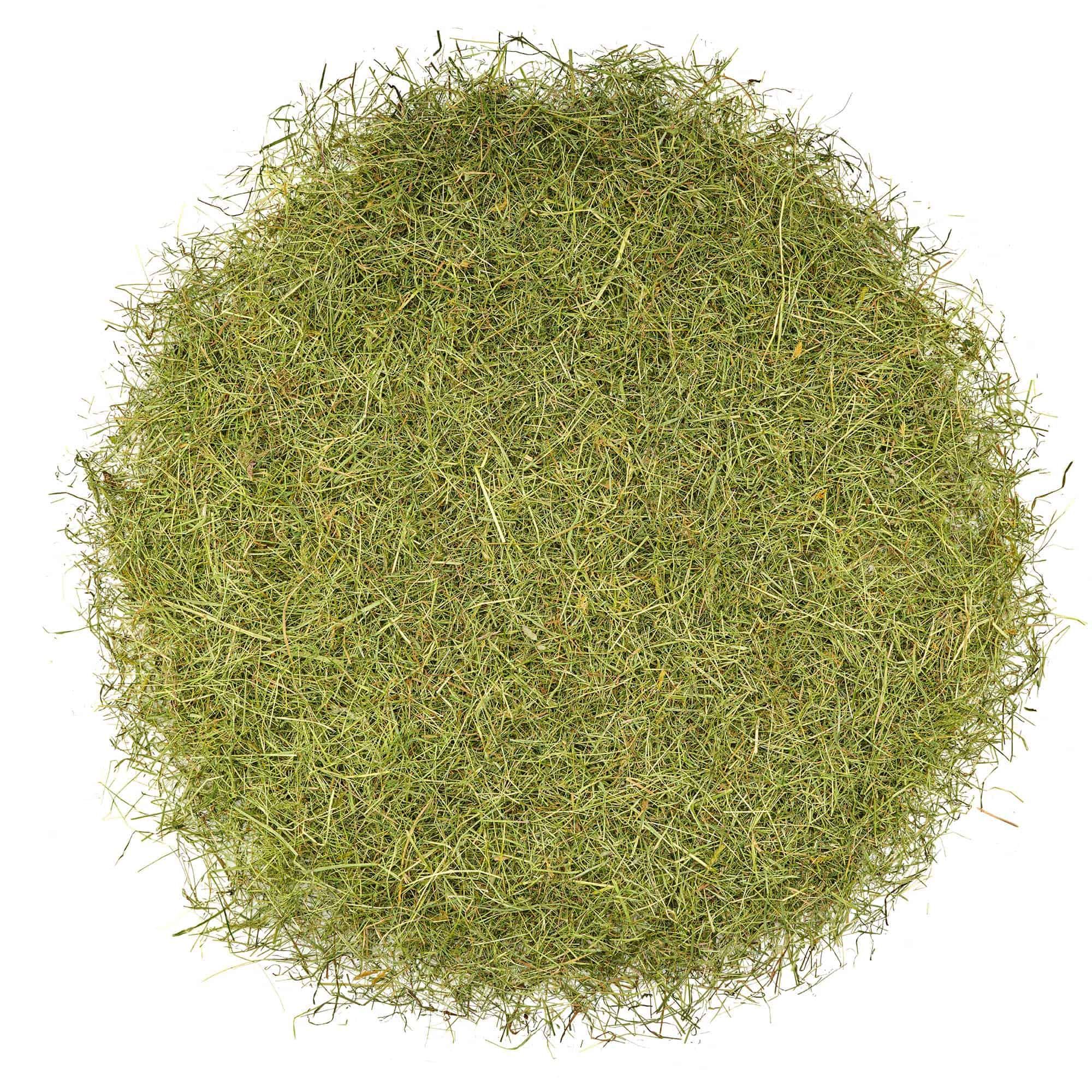 hay, grass, dried grass, herbage, turf
